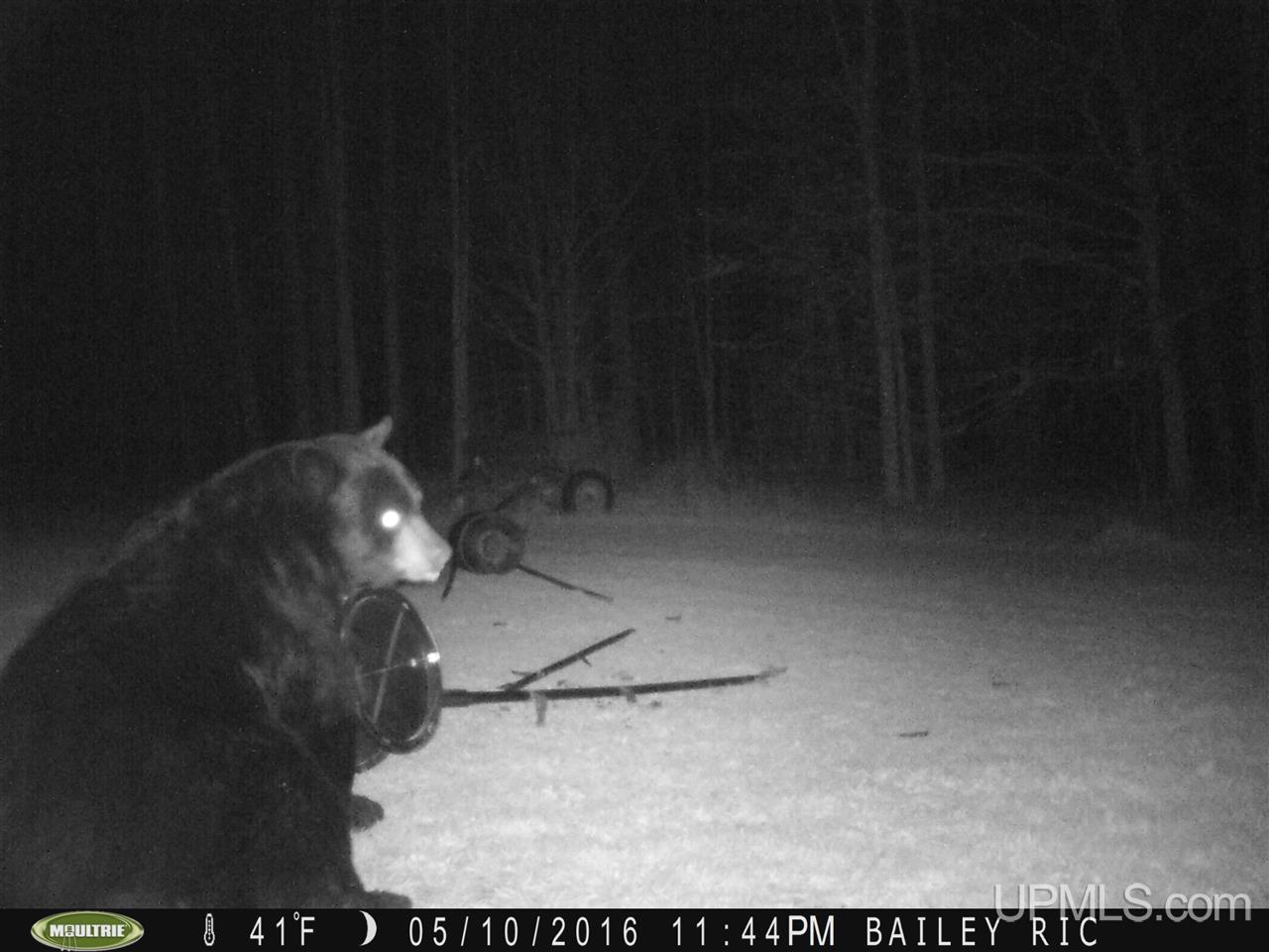 5902 Co Rd 511 Rapid River, MI 49878 - Photo 16 of 21