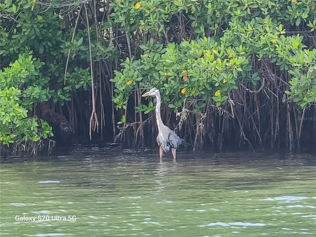 $1,175,000 | 360 Gulf Of Mexico Drive, Unit 312, Longboat Key, FL 34228