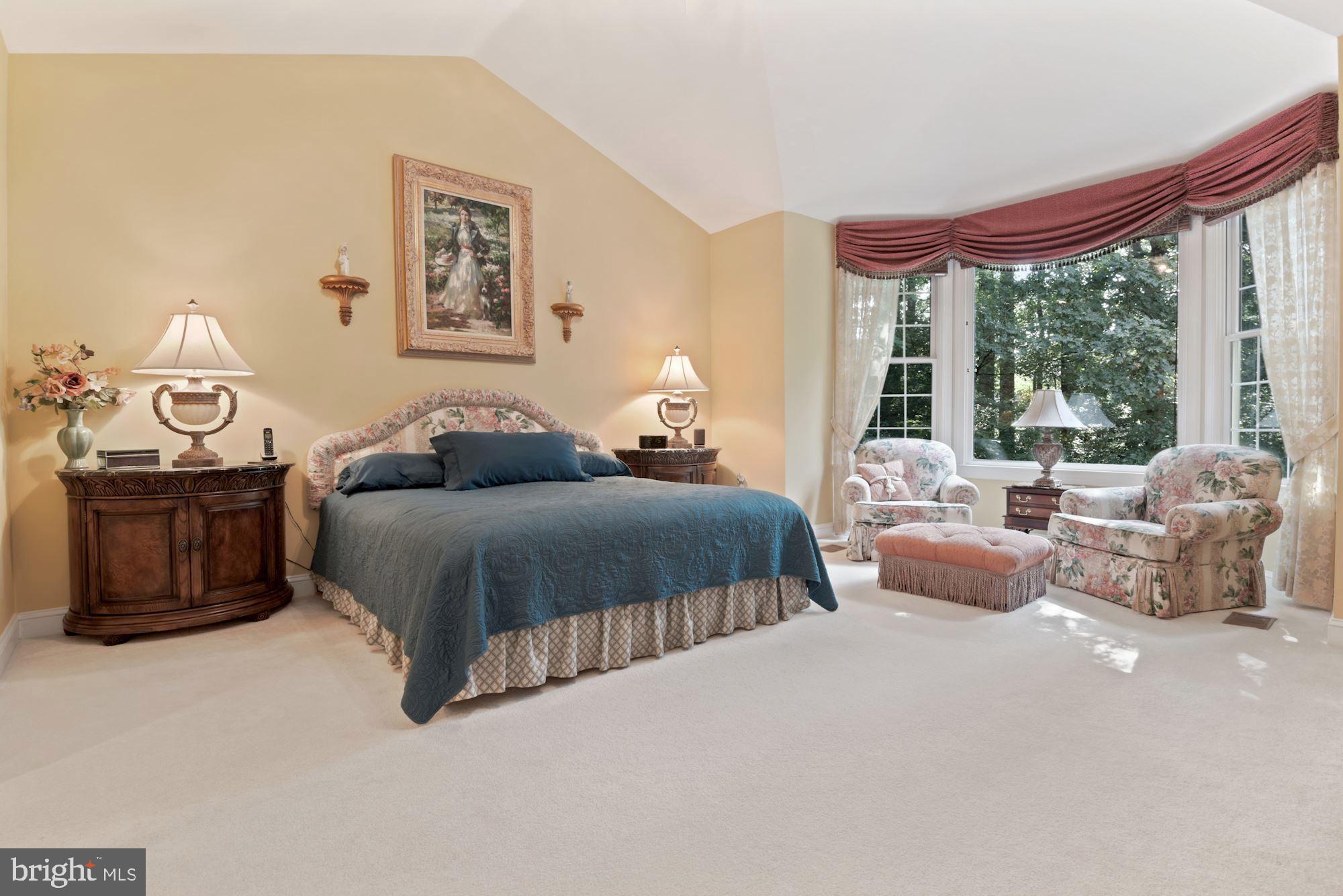1138 Round Pebble Lane Reston, VA 20194 - Photo 11 of 55 Huge 1st Floor Primary suite with spectacular view