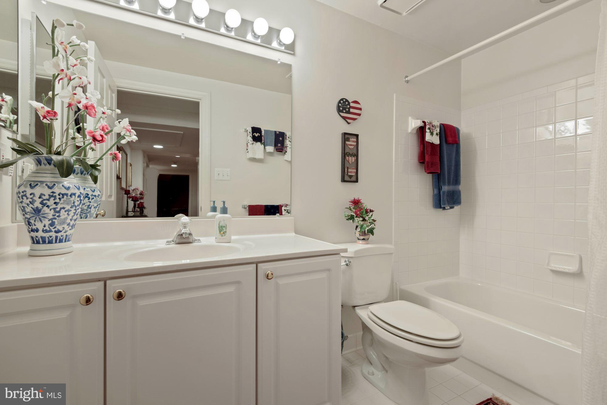 1138 Round Pebble Lane Reston, VA 20194 - Photo 31 of 55 L1 Bathroom