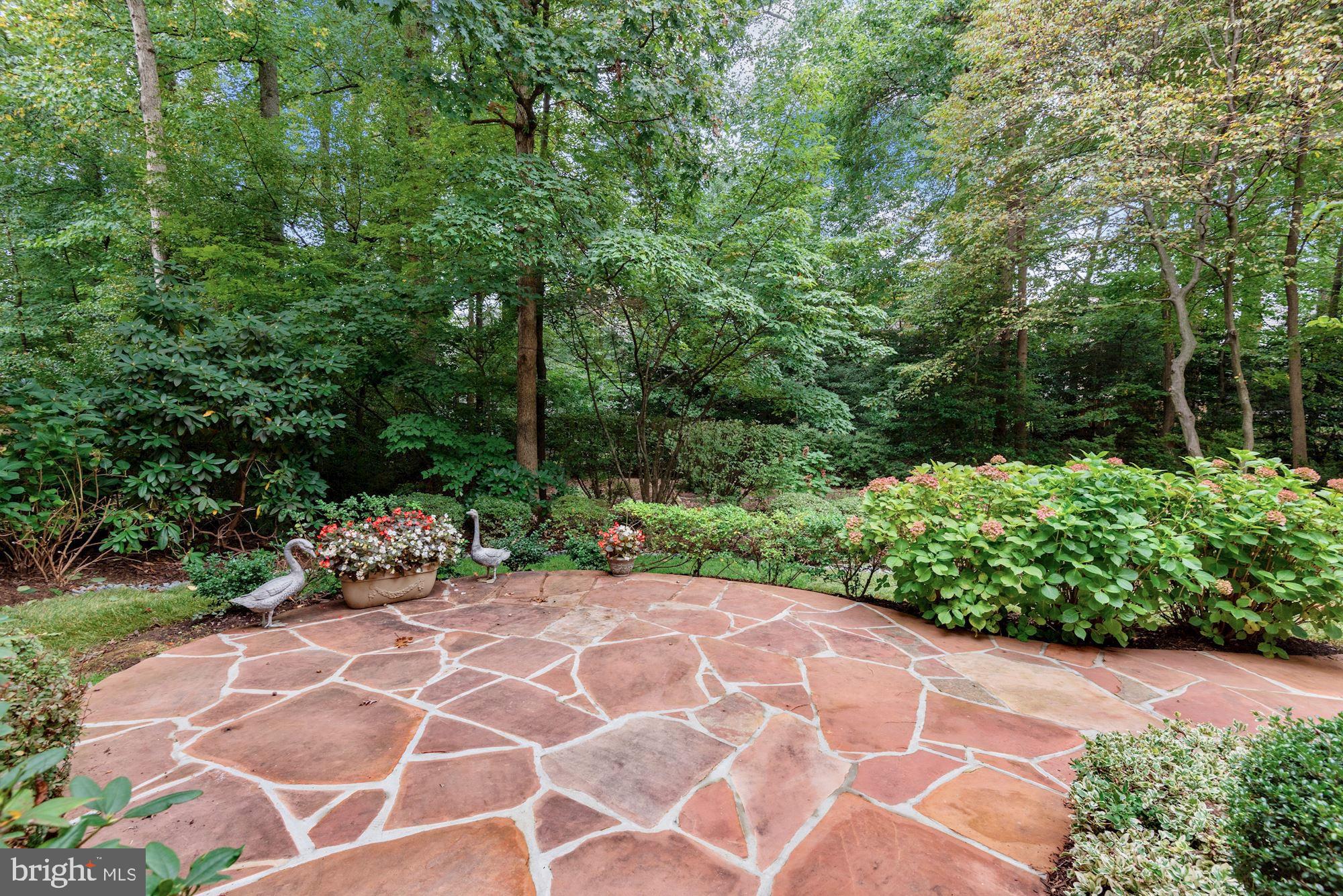 1138 Round Pebble Lane Reston, VA 20194 - Photo 50 of 55 Rear Patio