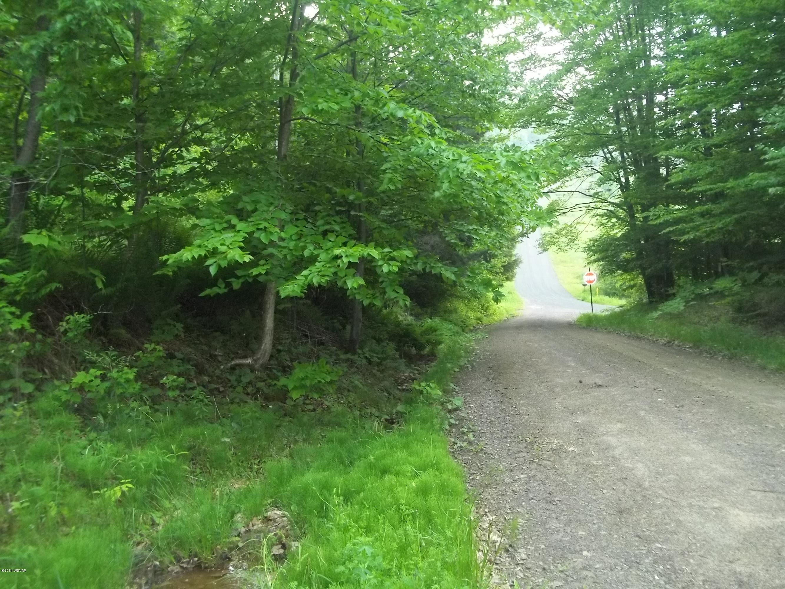 0 Bob Fritz Road Muncy Valley, PA 17758 - Photo 7 of 19 Bob Fritz road