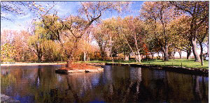10076 Fish Hatchery Road Winnebago, IL 61088 - Photo 4 of 4 a view of river covered by trees and buildings