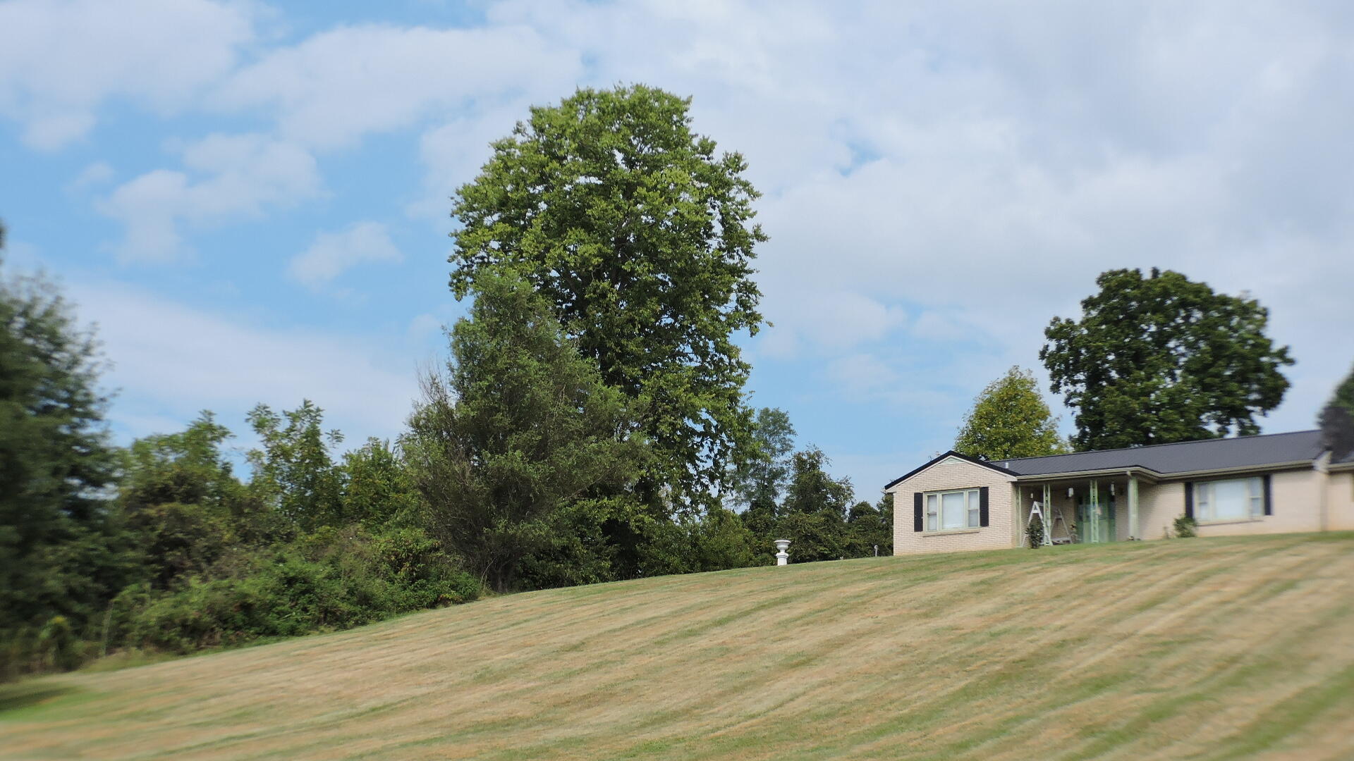 2689 Rogers Mill Road Mount Sterling, KY 40353 - Photo 38 of 40 DSCN9311