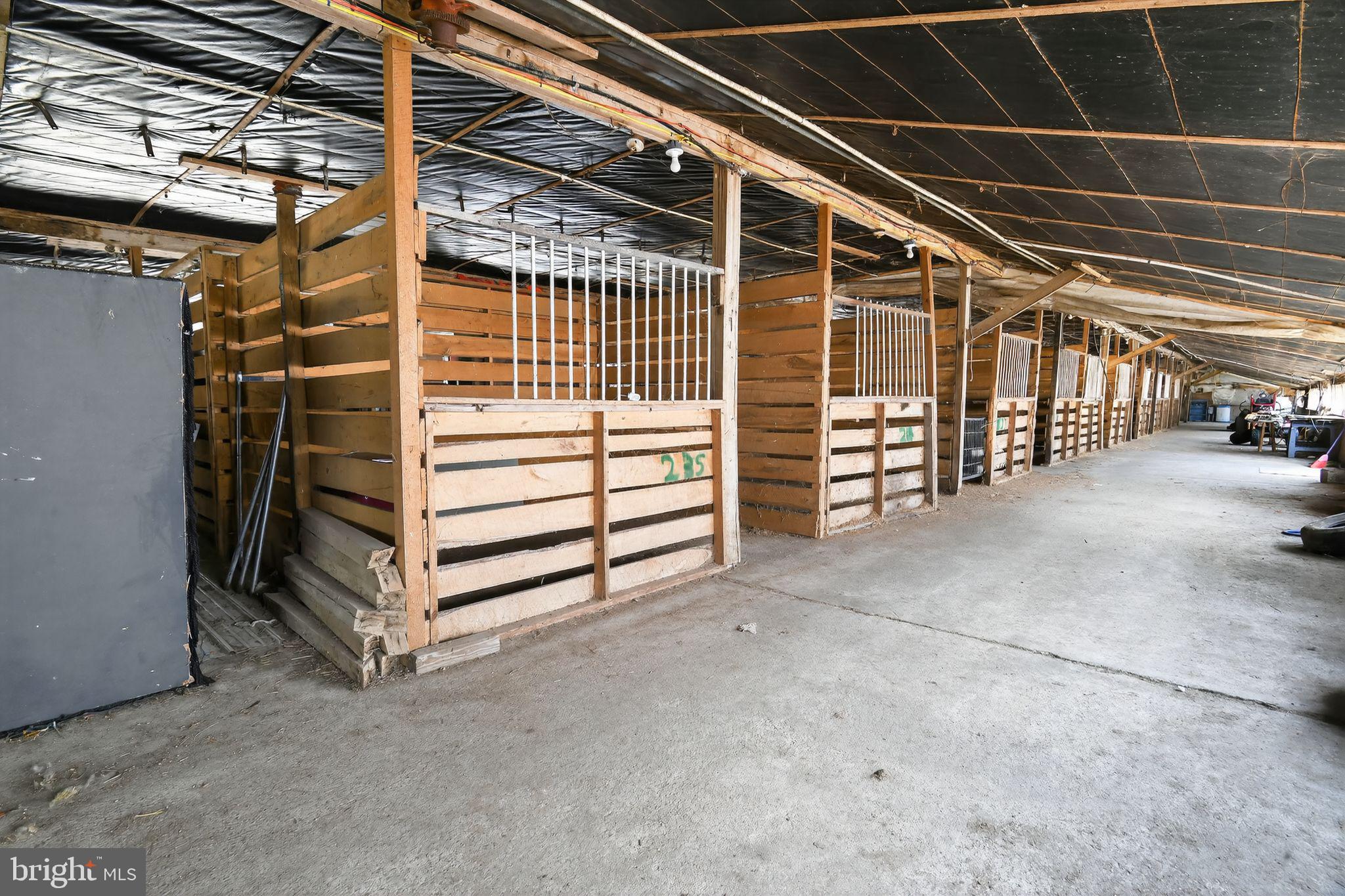 33096 Johnson Road Salisbury, MD 21804 - Photo 14 of 47