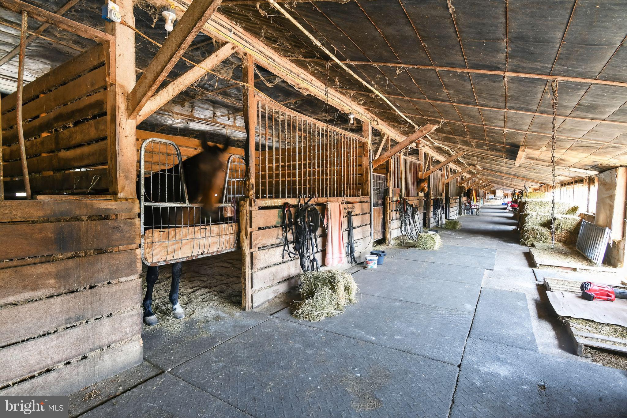 33096 Johnson Road Salisbury, MD 21804 - Photo 16 of 47