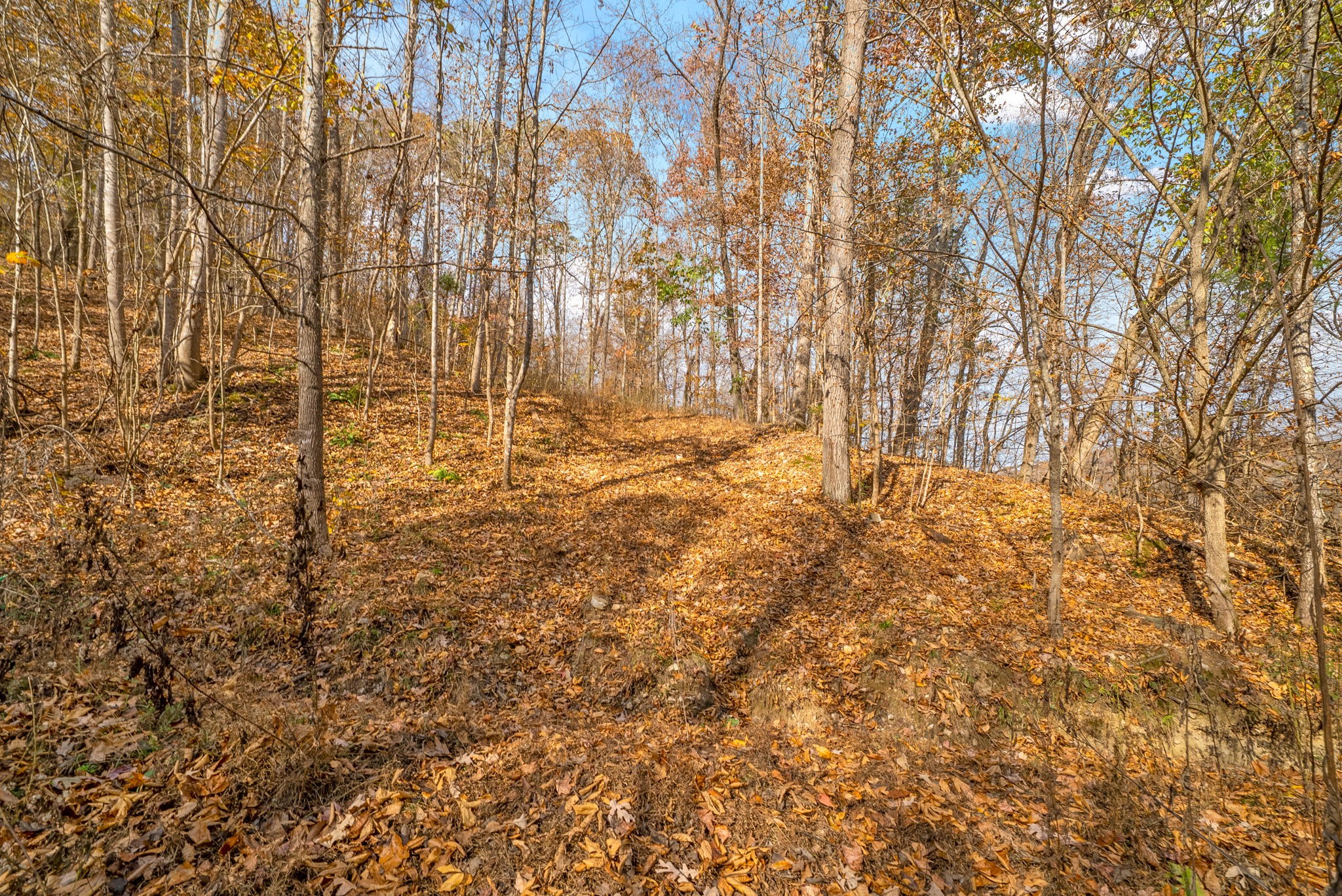 0 Upper Standing Rock Road Dover, TN 37058 - Photo 12 of 47 a view of empty room with wooden floor