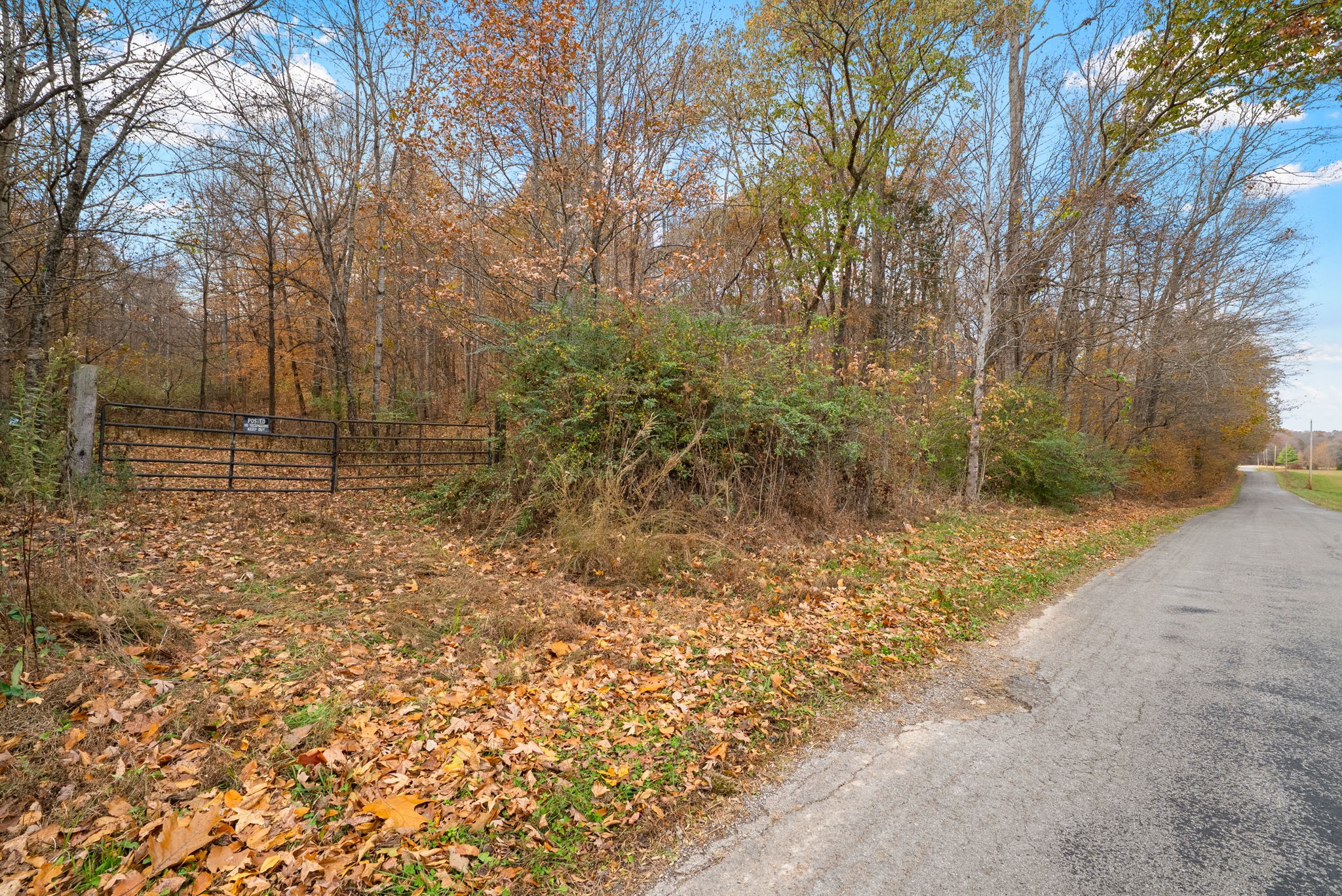 0 Upper Standing Rock Road Dover, TN 37058 - Photo 13 of 47 a view of backyard with tree