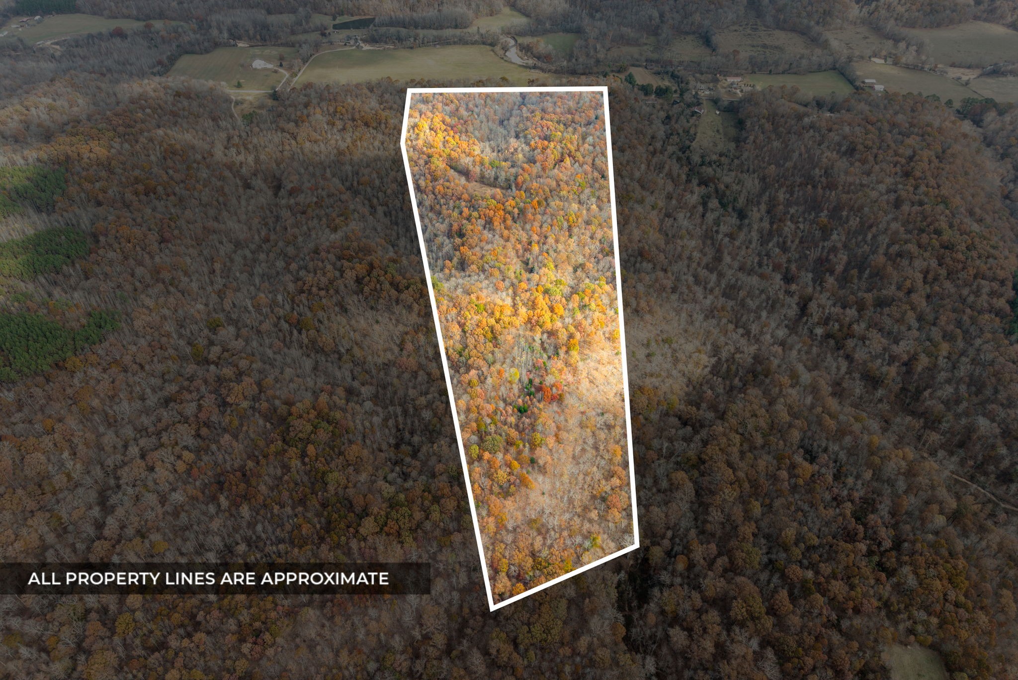 0 Upper Standing Rock Road Dover, TN 37058 - Photo 14 of 47 a view of painting on the wall