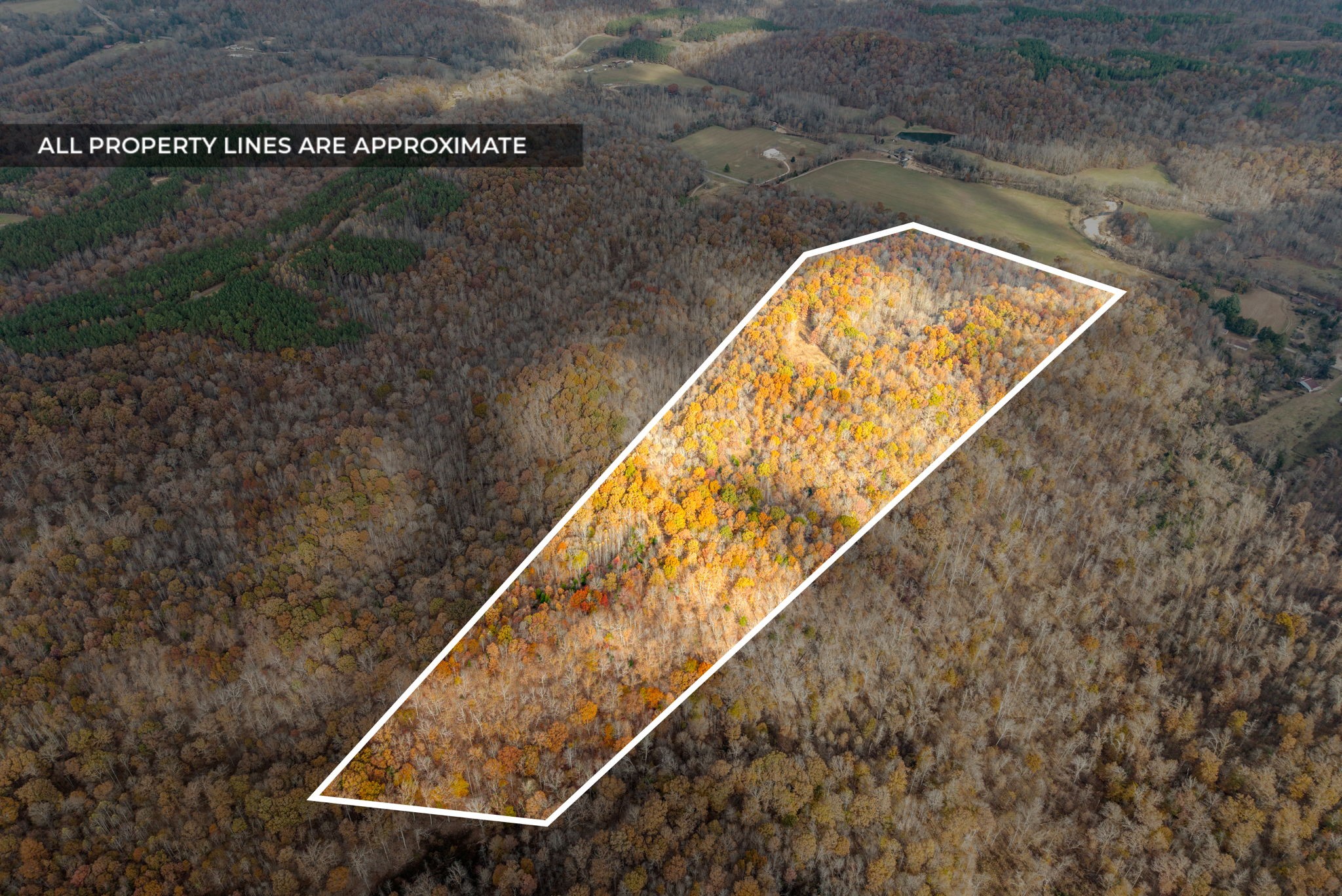 0 Upper Standing Rock Road Dover, TN 37058 - Photo 15 of 47