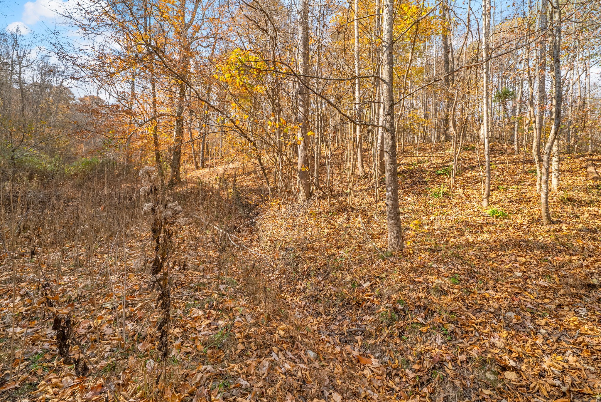0 Upper Standing Rock Road Dover, TN 37058 - Photo 17 of 47 a view of empty room
