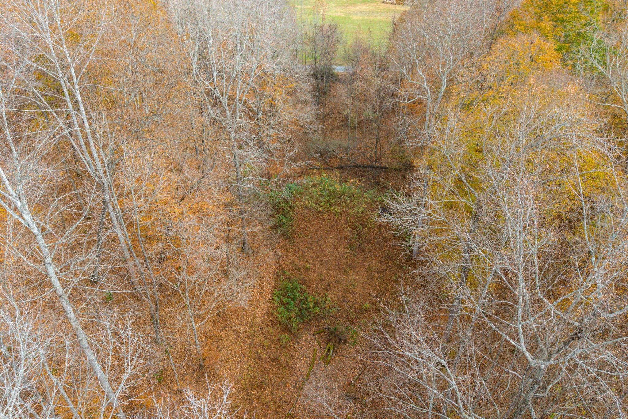 0 Upper Standing Rock Road Dover, TN 37058 - Photo 21 of 47 a bathroom with a shower
