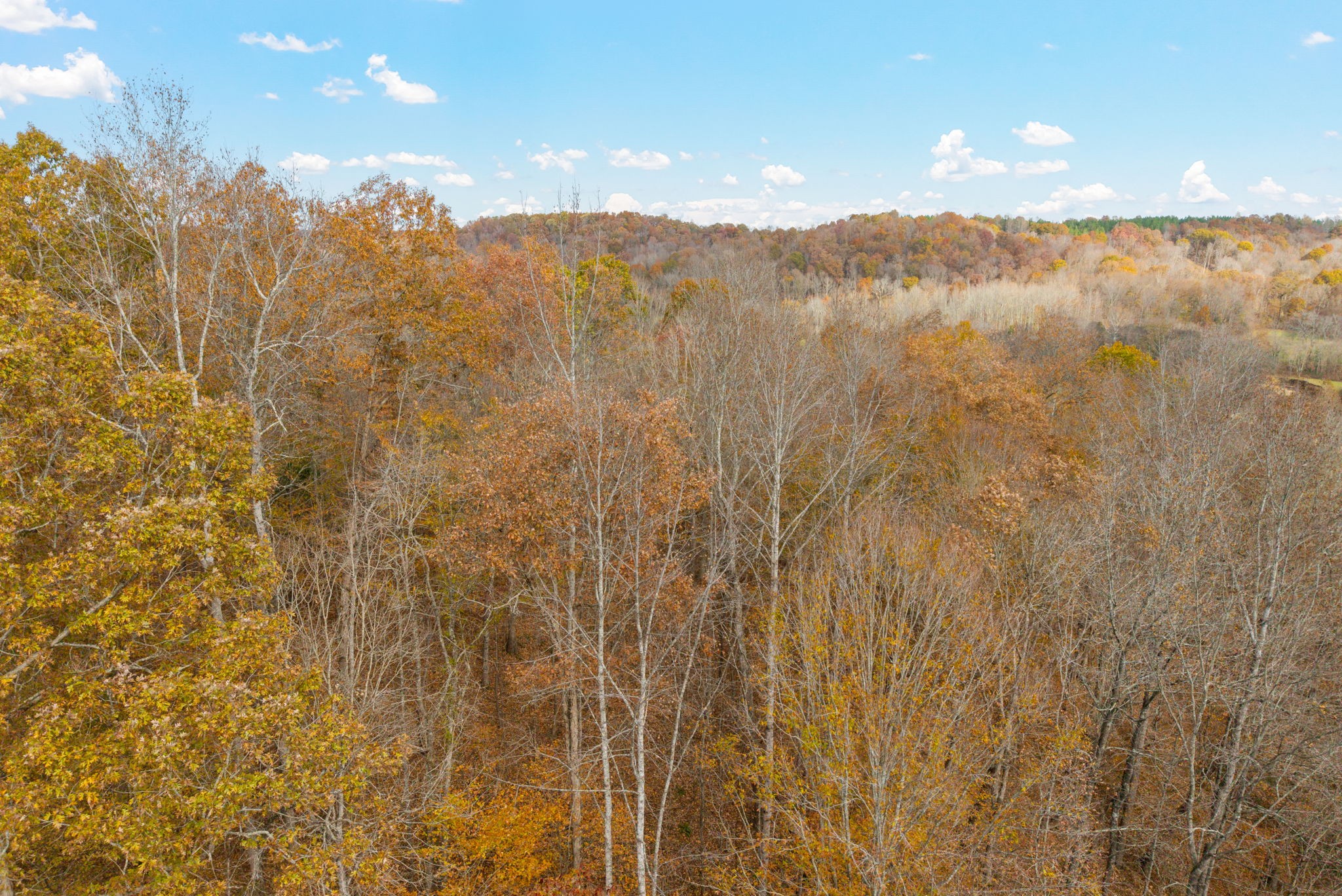 0 Upper Standing Rock Road Dover, TN 37058 - Photo 22 of 47 a view of lake and mountain