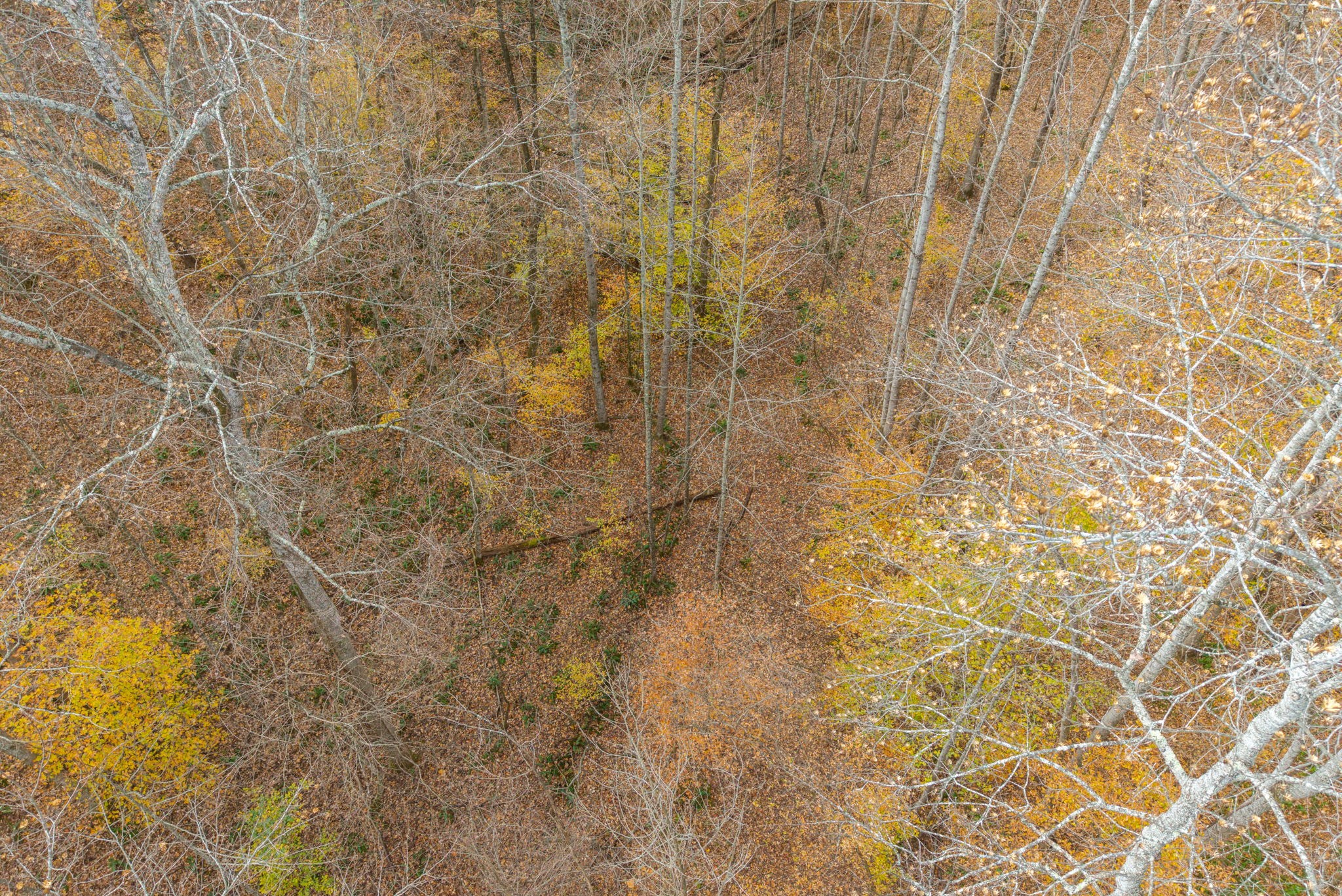 0 Upper Standing Rock Road Dover, TN 37058 - Photo 23 of 47 a bathroom with a shower curtain