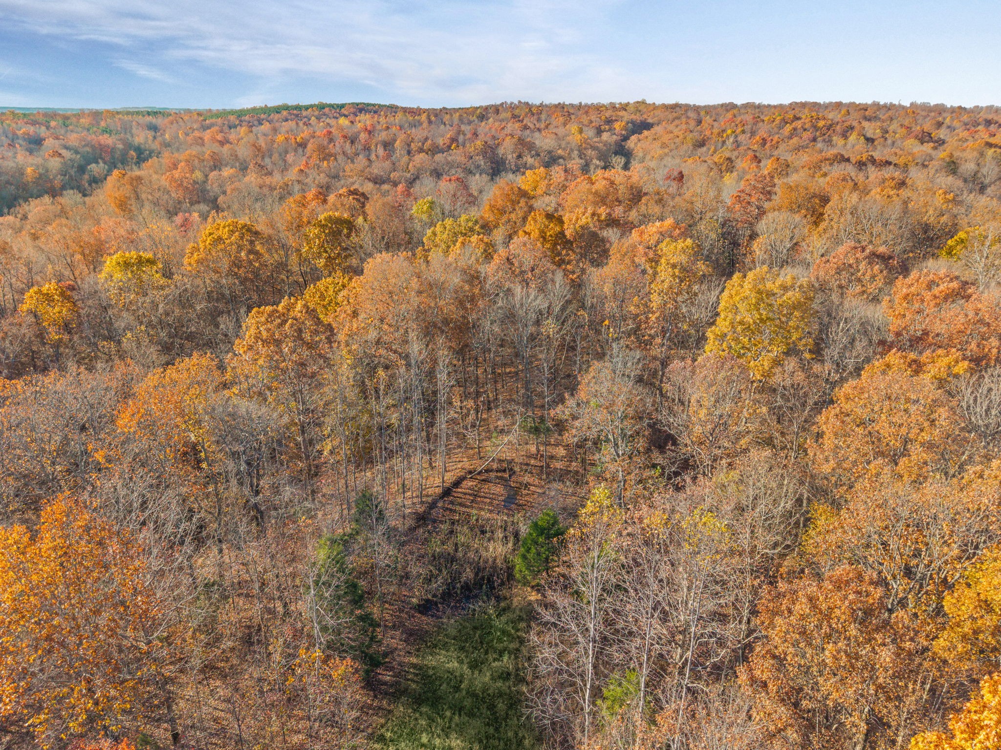 0 Upper Standing Rock Road Dover, TN 37058 - Photo 24 of 47