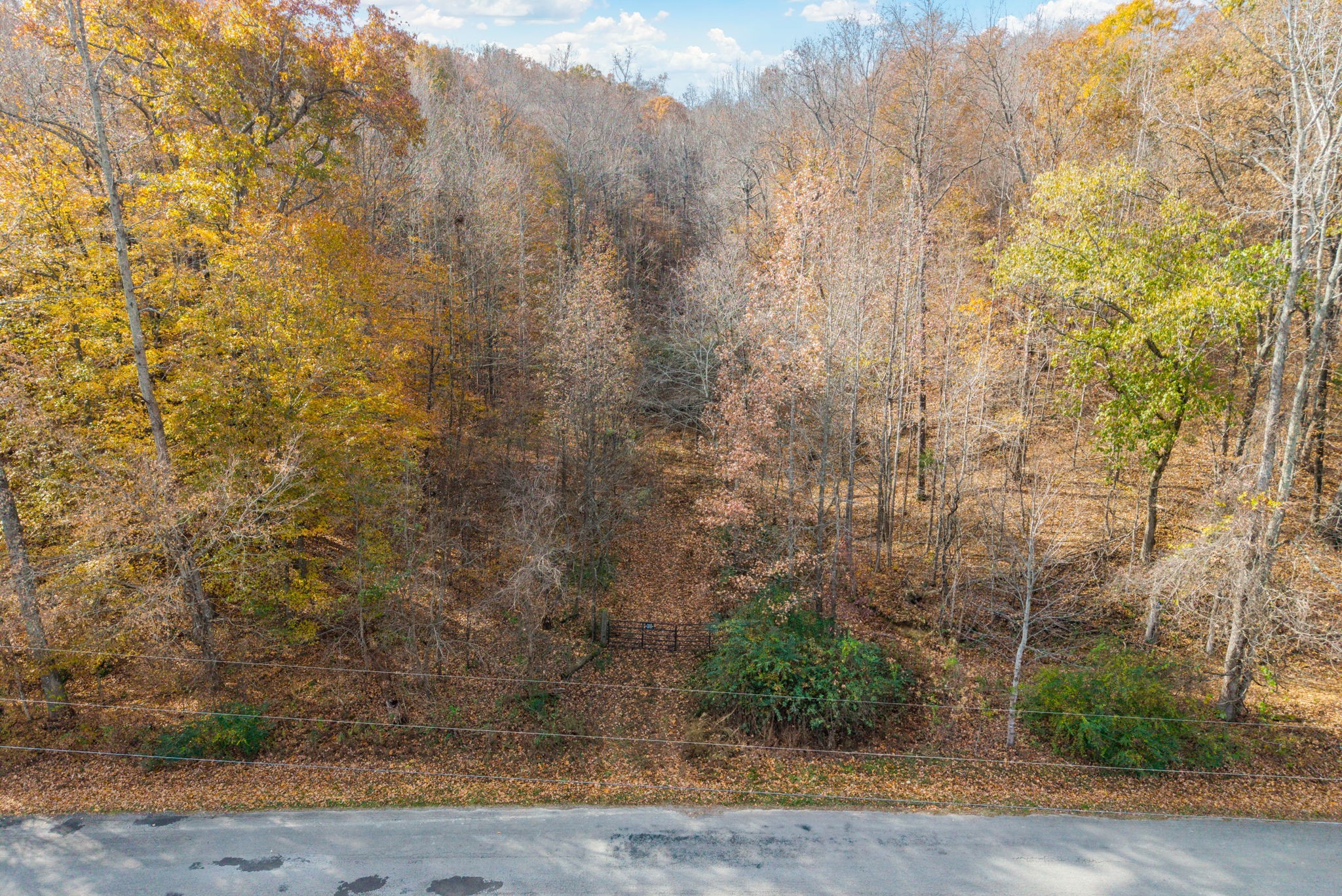 0 Upper Standing Rock Road Dover, TN 37058 - Photo 27 of 47 a view of a yard with large trees