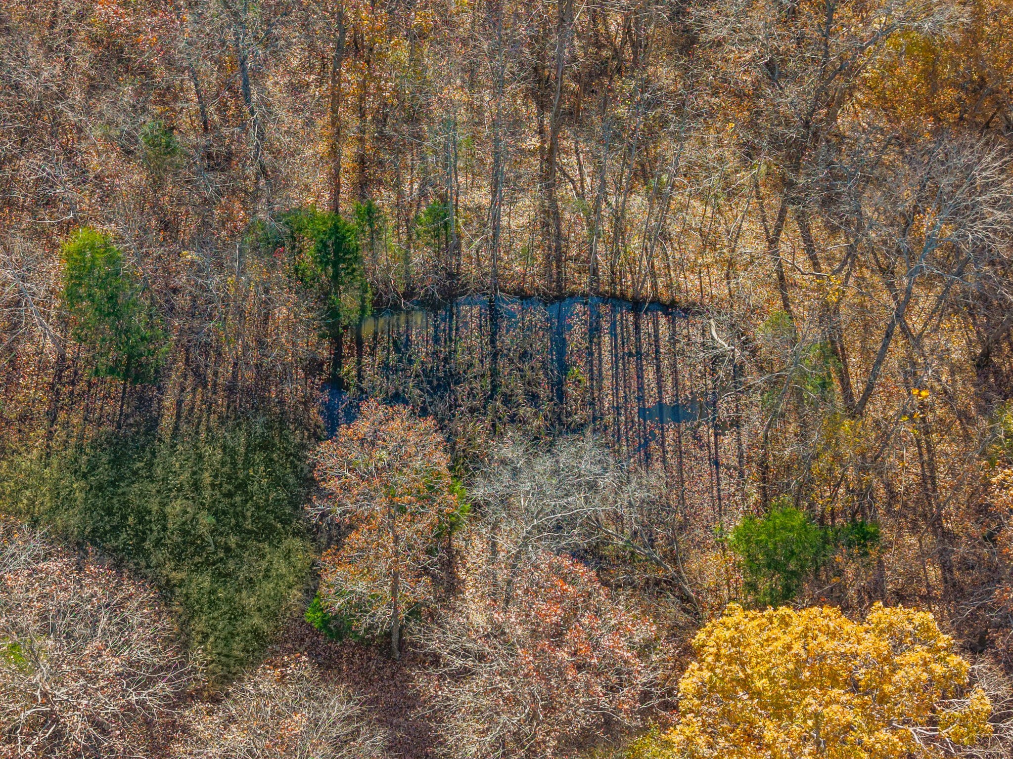 0 Upper Standing Rock Road Dover, TN 37058 - Photo 3 of 47 a view of backyard with green space