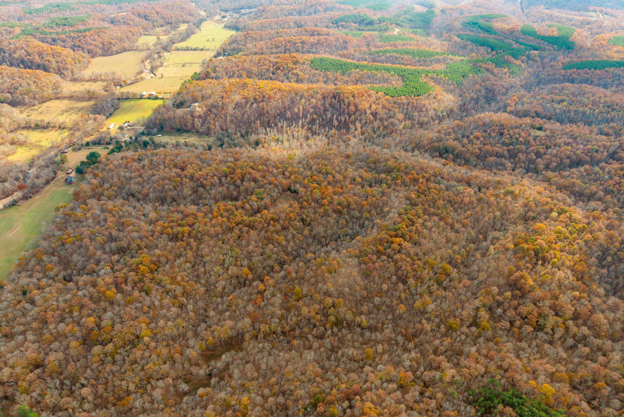 0 Upper Standing Rock Road Dover, TN 37058 - Photo 33 of 47 a view of a yard with trees