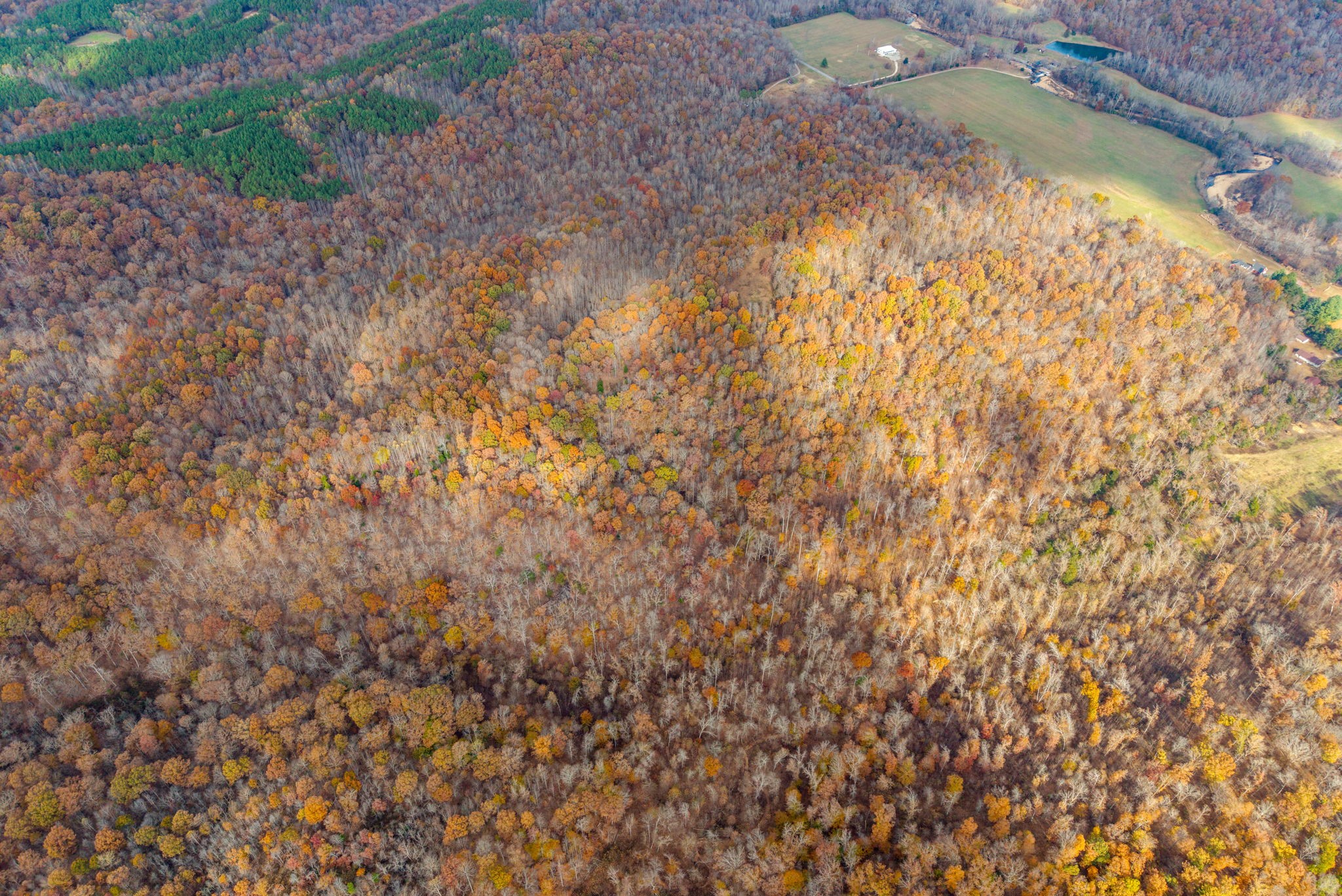 0 Upper Standing Rock Road Dover, TN 37058 - Photo 34 of 47 a view of a yard