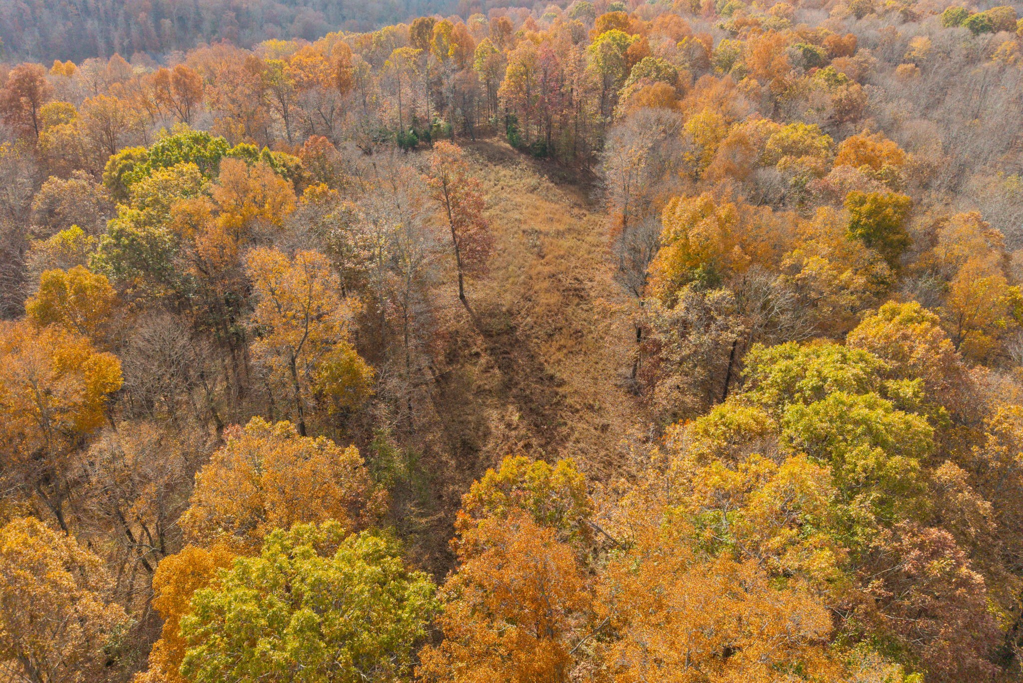 0 Upper Standing Rock Road Dover, TN 37058 - Photo 35 of 47