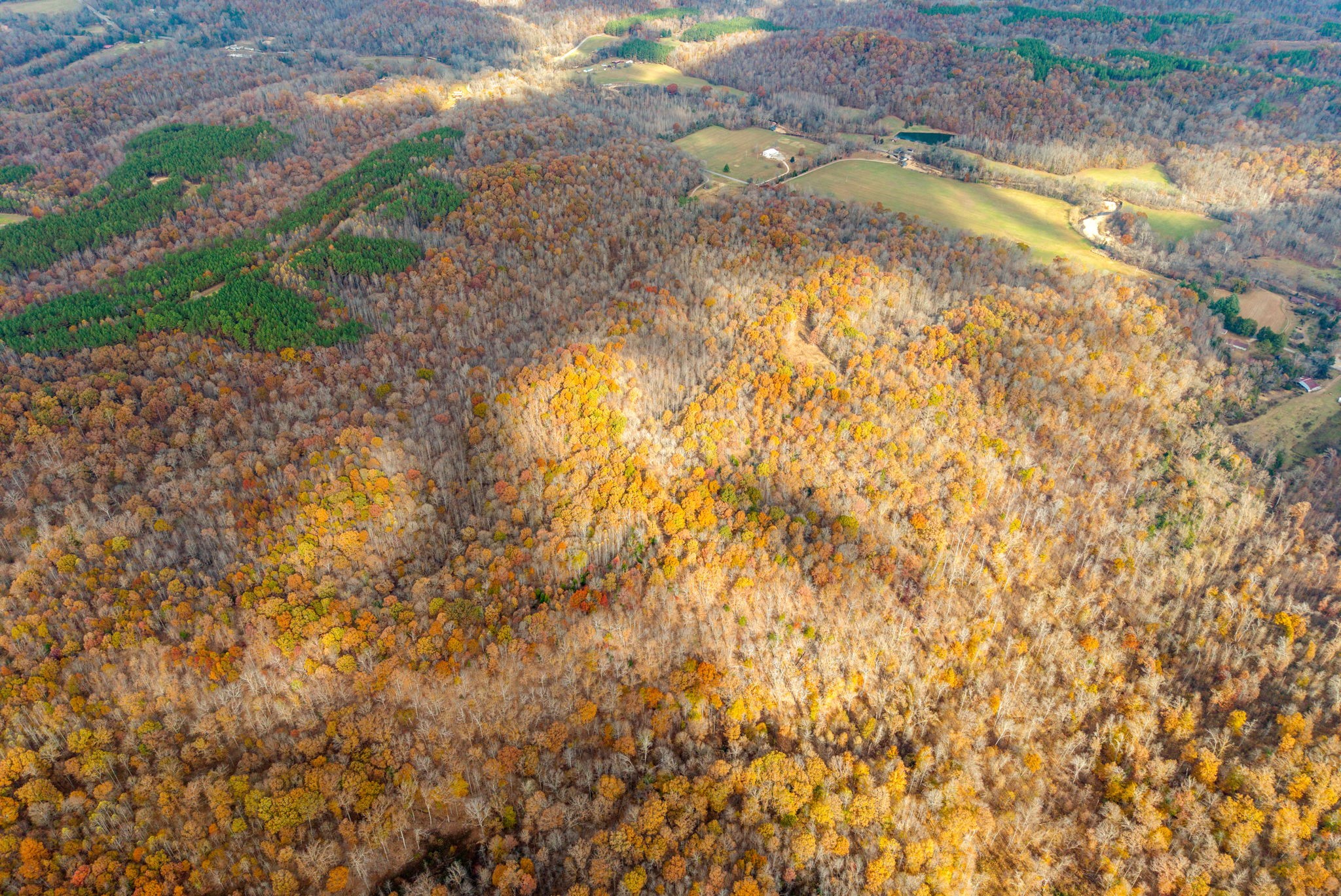 0 Upper Standing Rock Road Dover, TN 37058 - Photo 36 of 47