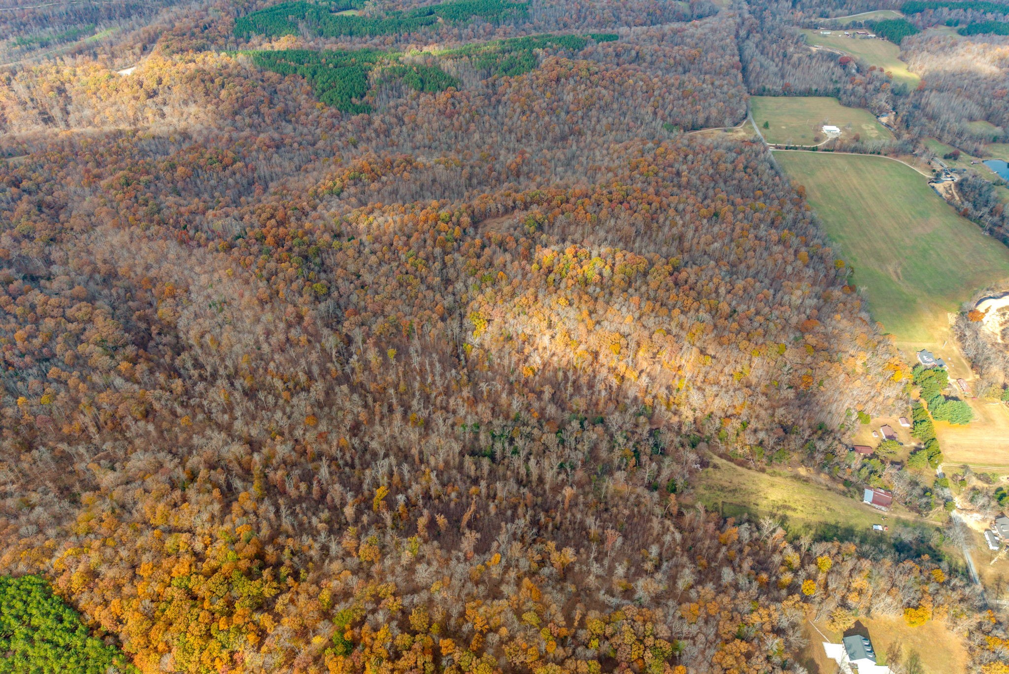 0 Upper Standing Rock Road Dover, TN 37058 - Photo 37 of 47 a view of backyard of a house