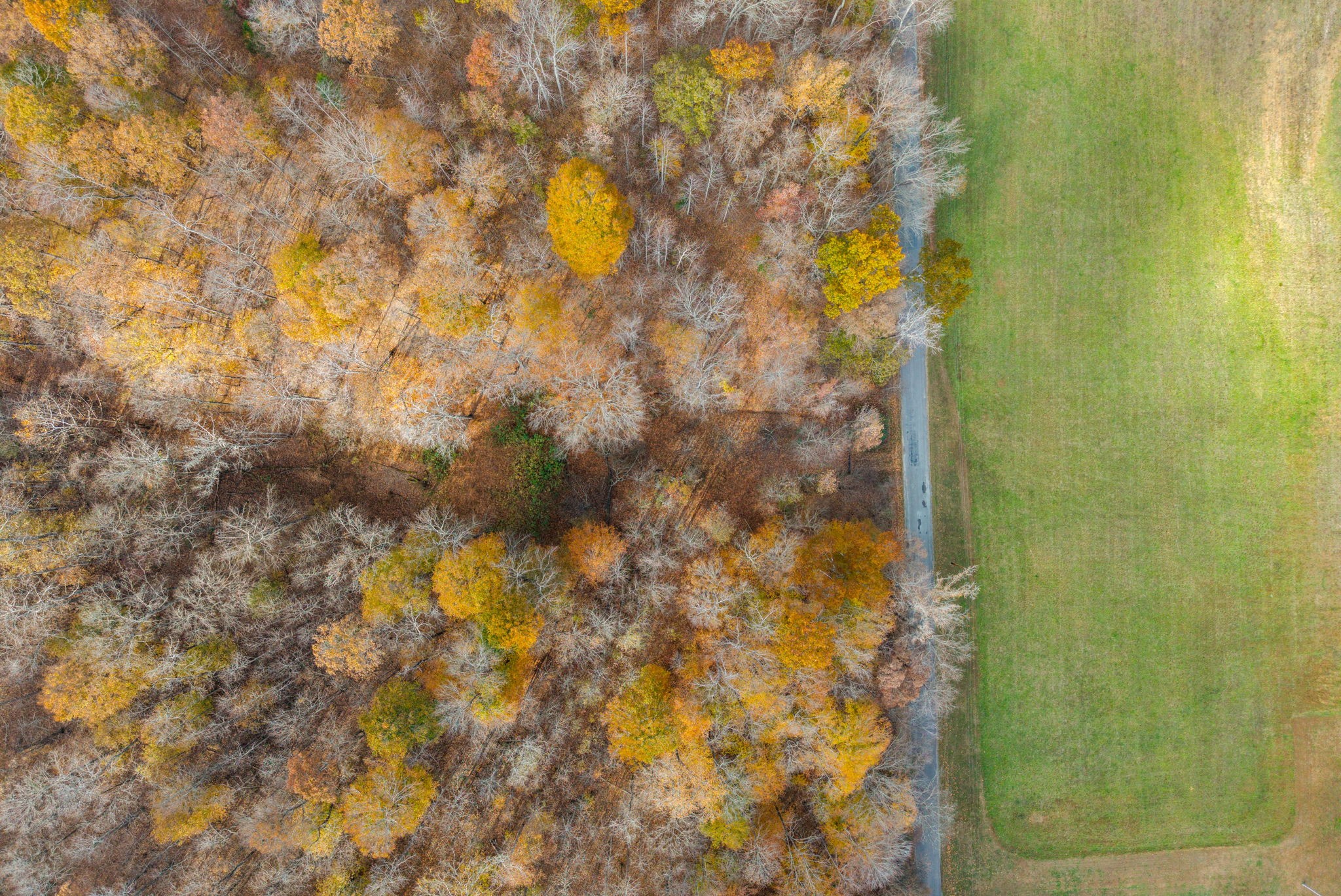 0 Upper Standing Rock Road Dover, TN 37058 - Photo 38 of 47 a bathroom with a shower
