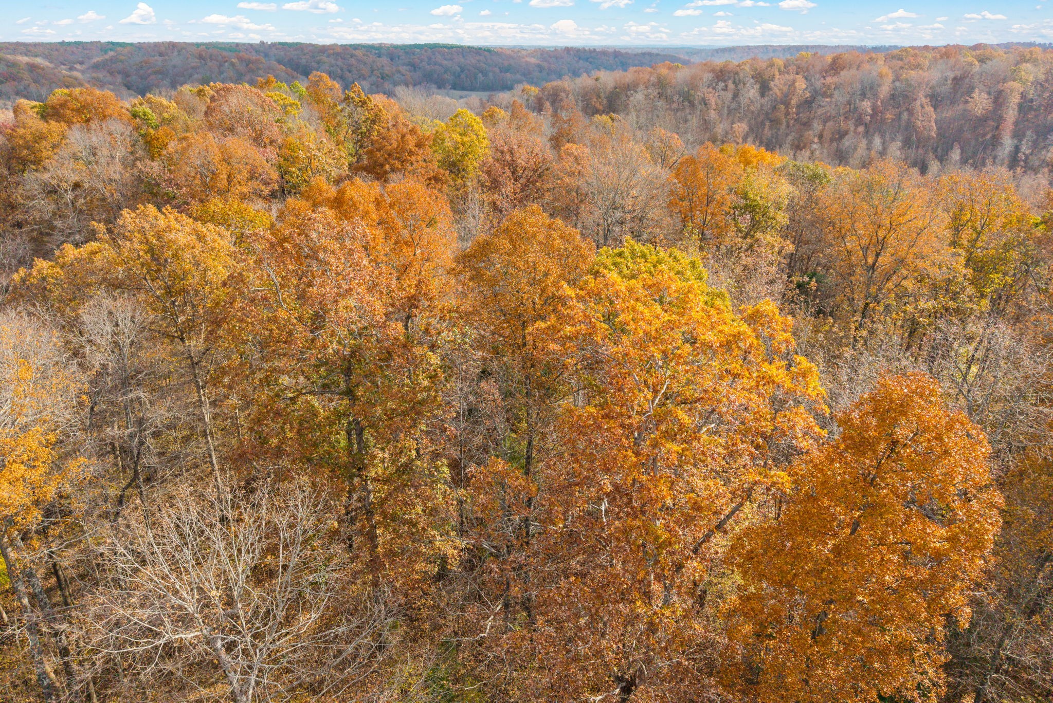 0 Upper Standing Rock Road Dover, TN 37058 - Photo 40 of 47
