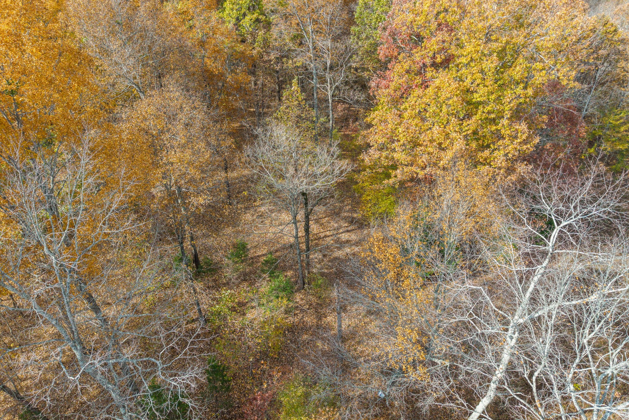 0 Upper Standing Rock Road Dover, TN 37058 - Photo 41 of 47
