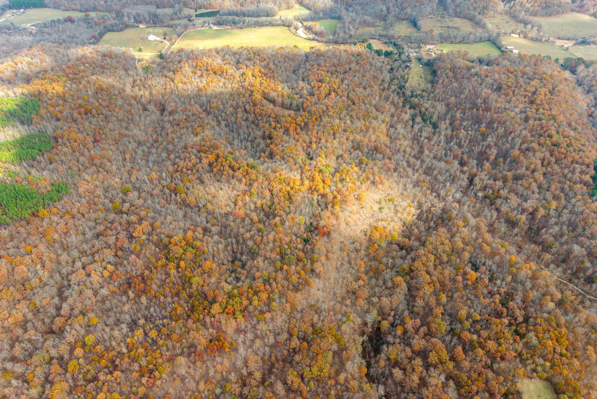 0 Upper Standing Rock Road Dover, TN 37058 - Photo 43 of 47 a view of yard with large trees