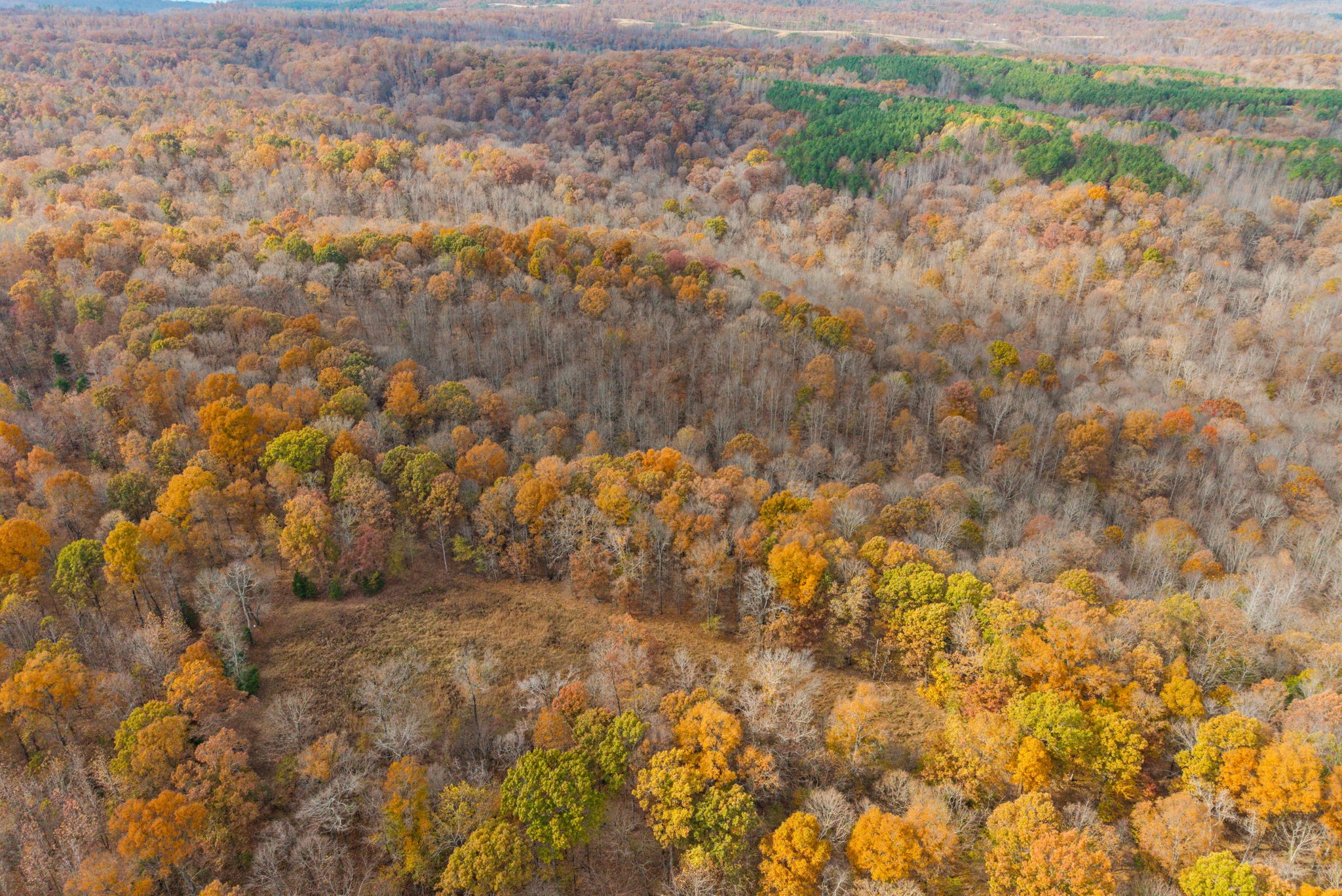 0 Upper Standing Rock Road Dover, TN 37058 - Photo 47 of 47