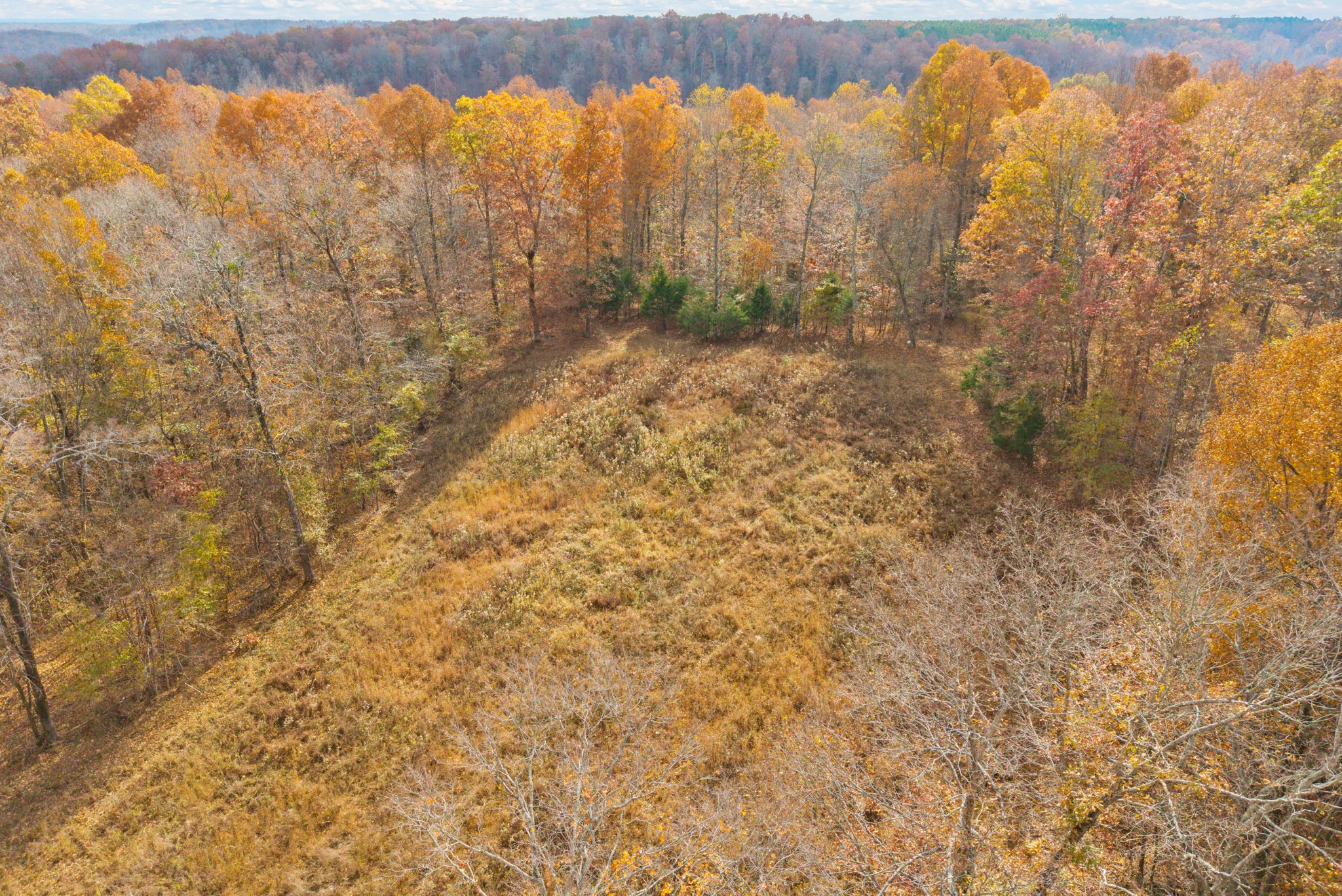 0 Upper Standing Rock Road Dover, TN 37058 - Photo 7 of 47 a view of a yard with a dry trees