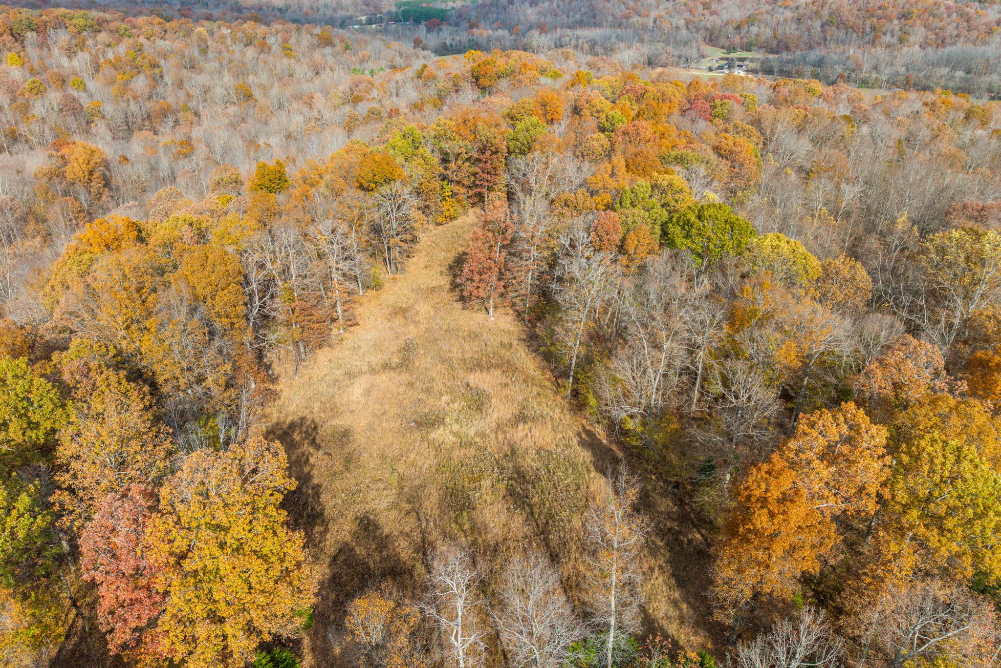 0 Upper Standing Rock Road Dover, TN 37058 - Photo 8 of 47 a bathroom with a window