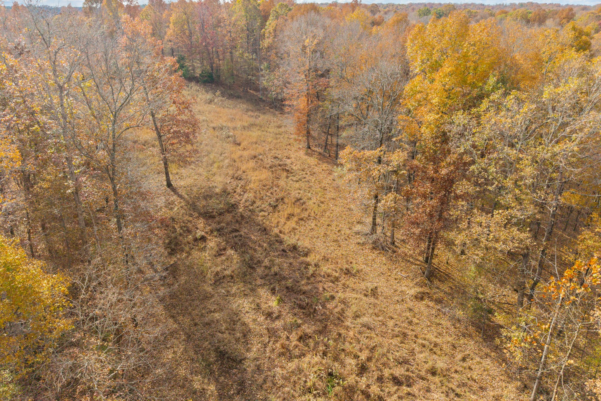0 Upper Standing Rock Road Dover, TN 37058 - Photo 9 of 47 a bathroom with a shower