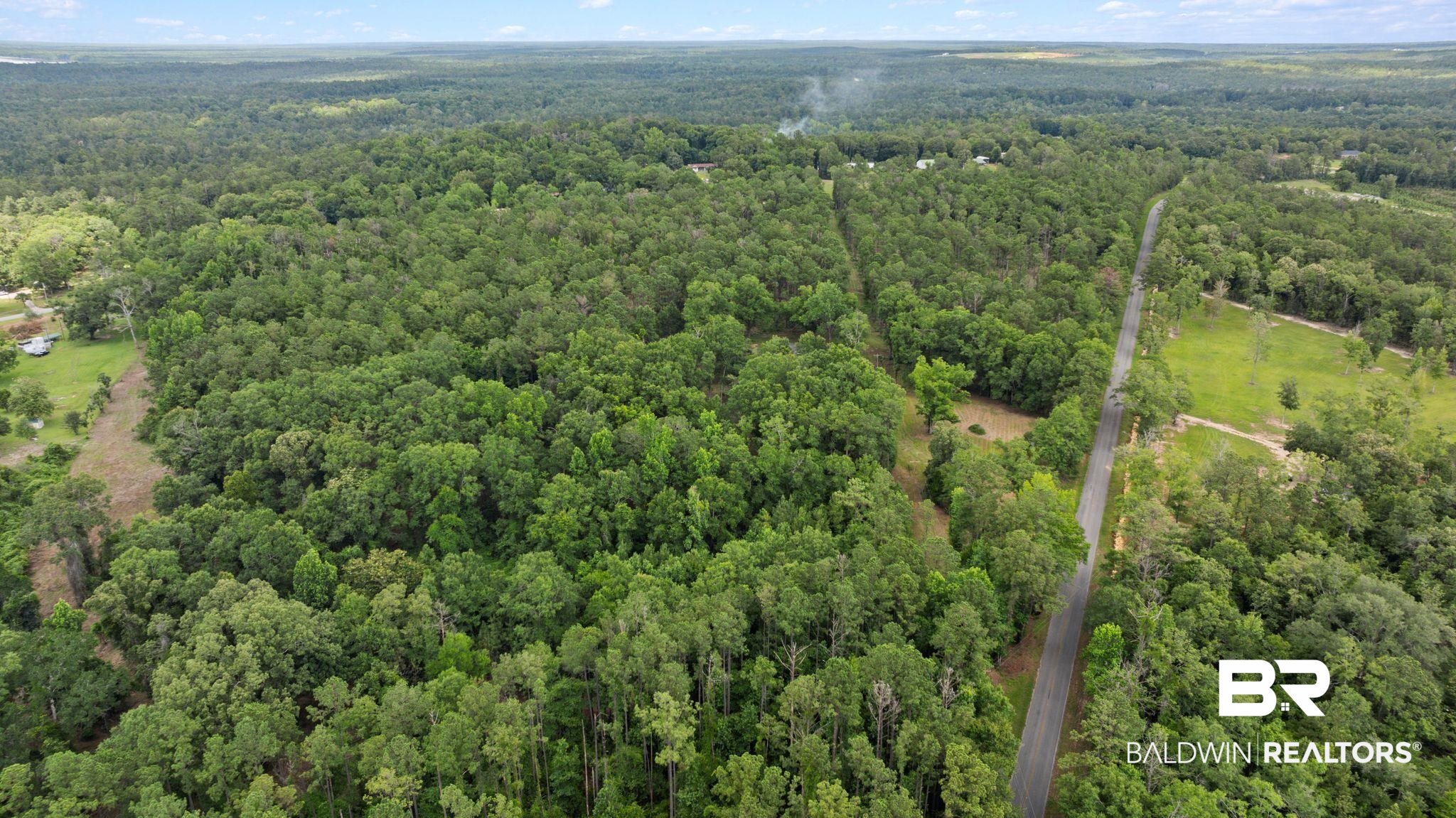0 Hurricane Road Bay Minette, AL 36507 - Photo 27 of 30
