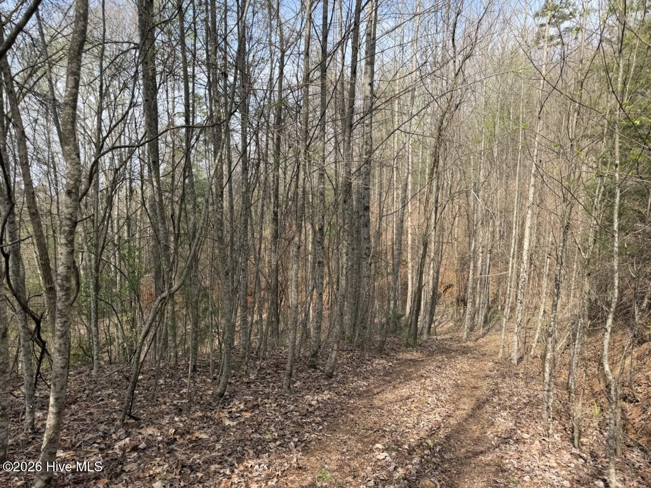 0 Ogreeta Road Murphy, NC 28906 - Photo 20 of 47