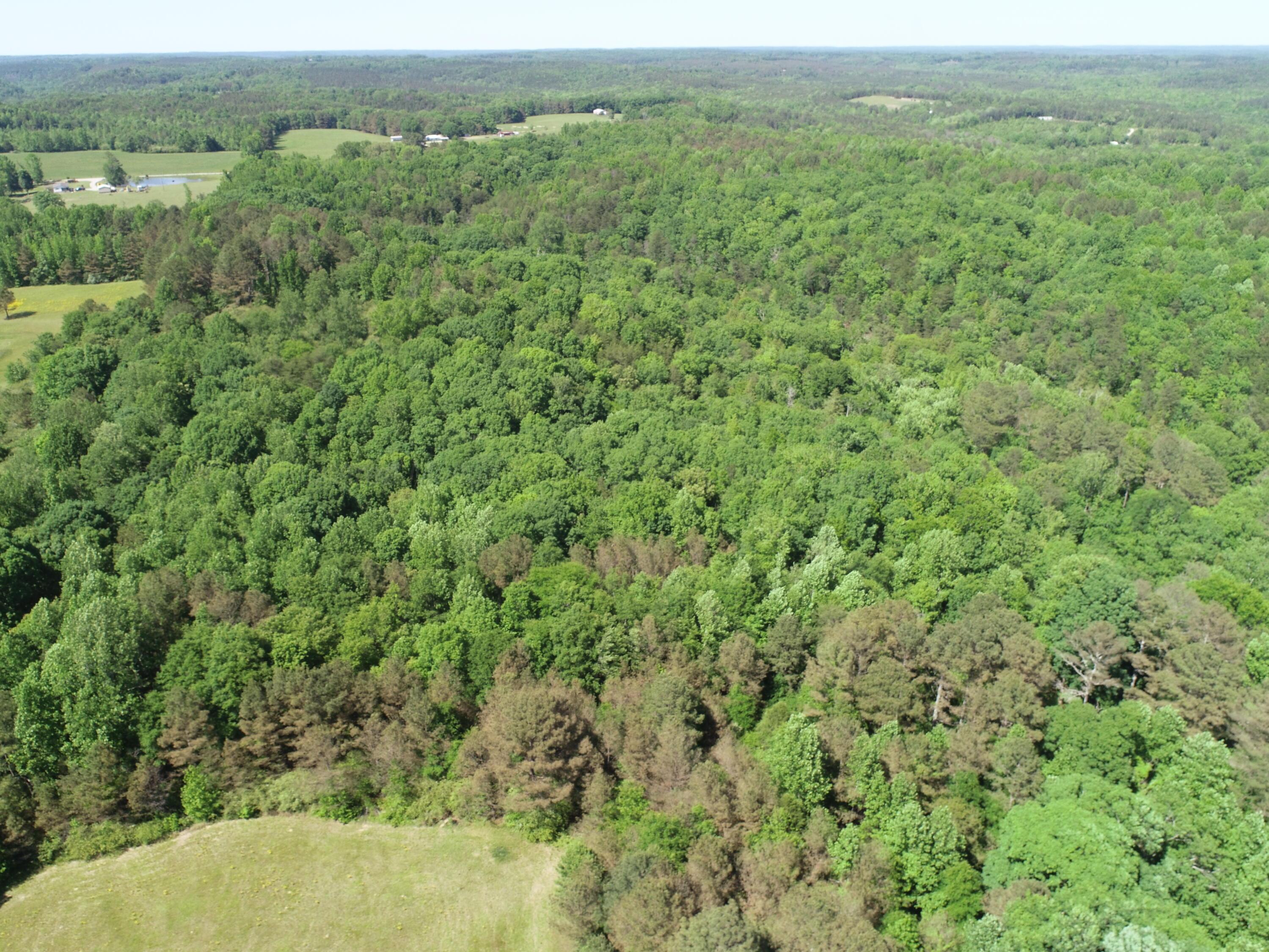 DJI_0148