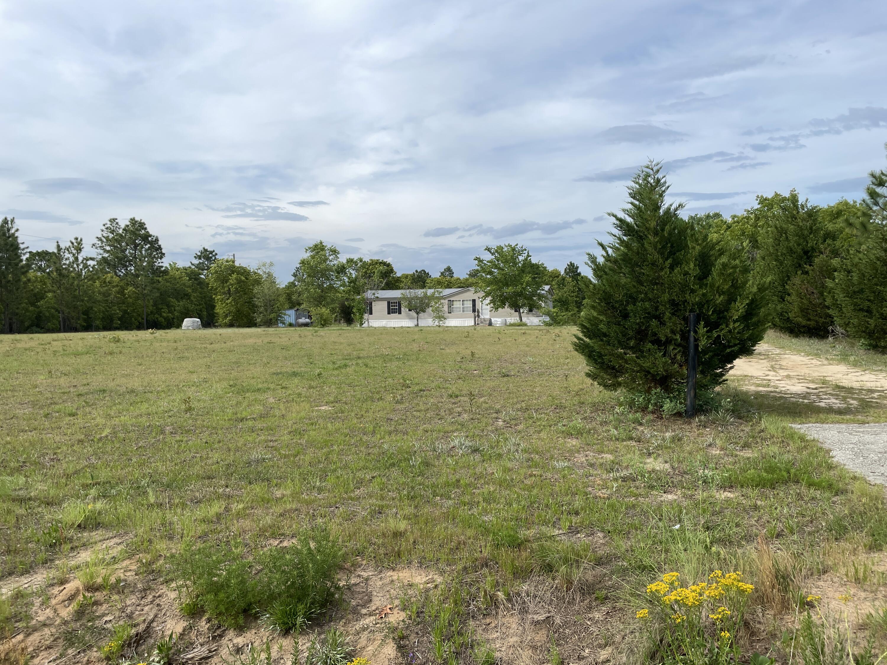 471 Centerwood Road Windsor, SC 29856 - Photo 2 of 29