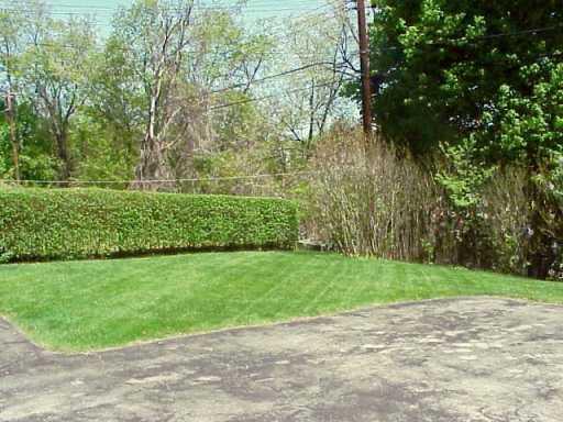 273 Orchard Spring Road Pittsburgh, PA 15220 - Photo 6 of 6 Yard/Garden.