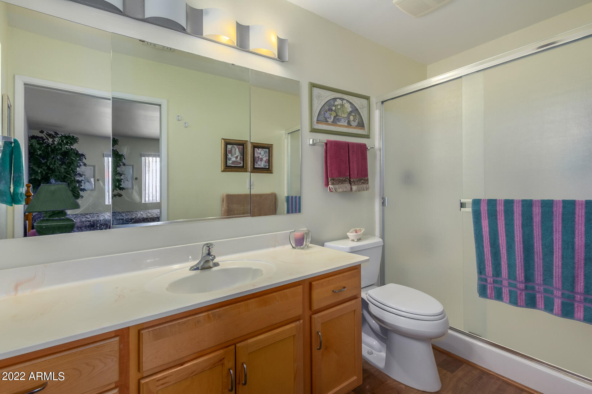 5853 East Adobe Road Mesa, AZ 85205 - Photo 19 of 26 a bathroom with a toilet a sink and a mirror