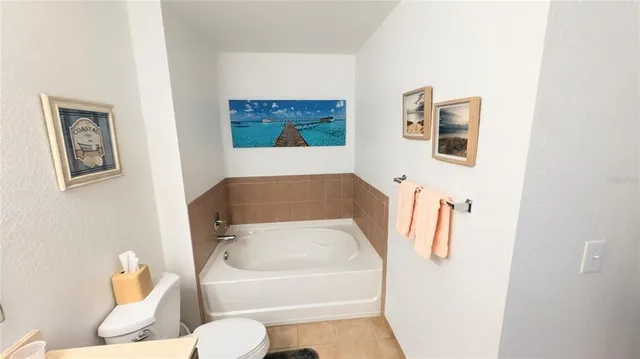 a bathroom with a toilet and a bathtub