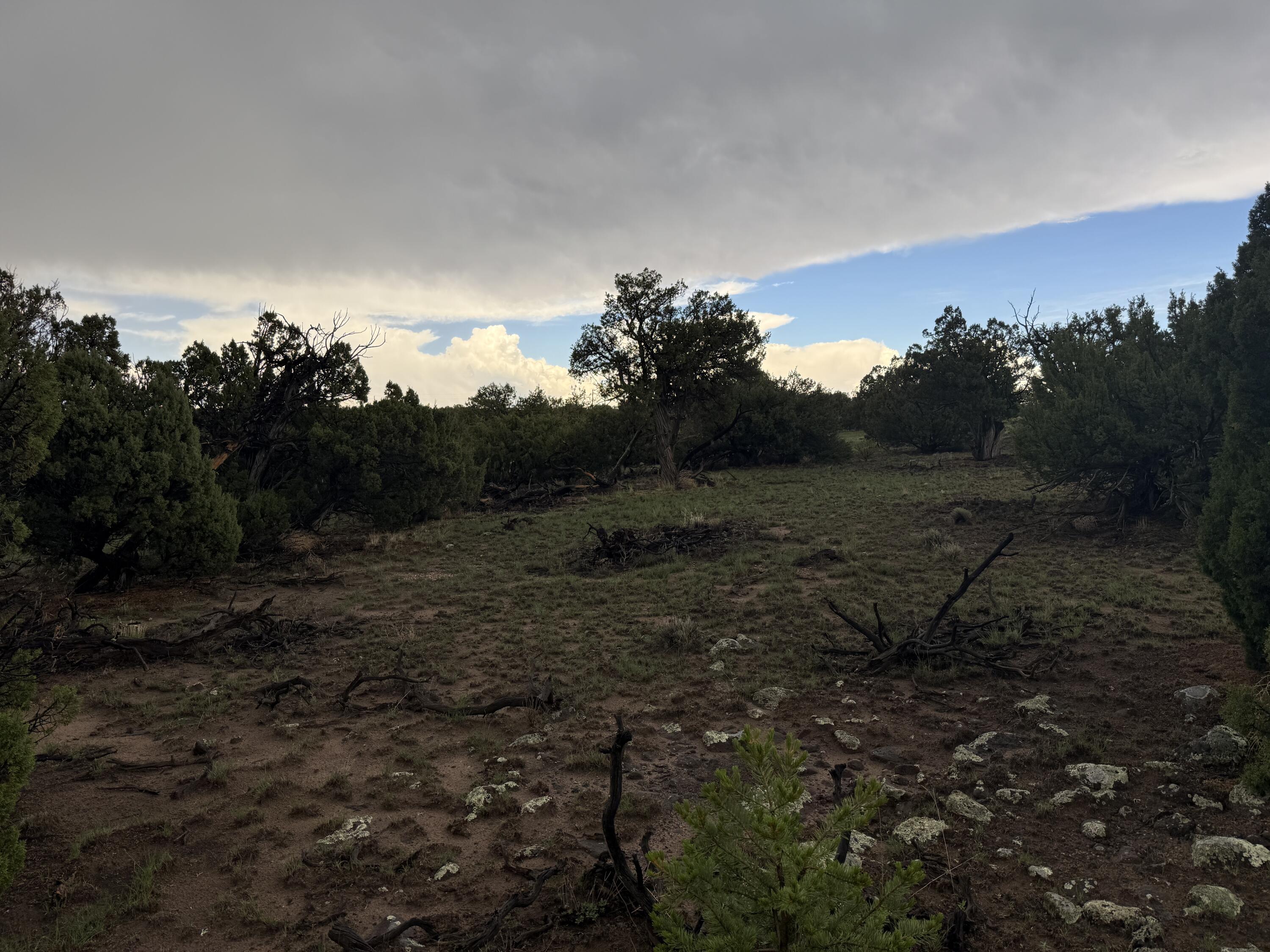 Lot 78 Big Chief Road Quemado, NM 87829 - Photo 7 of 18 Gallery Image 7