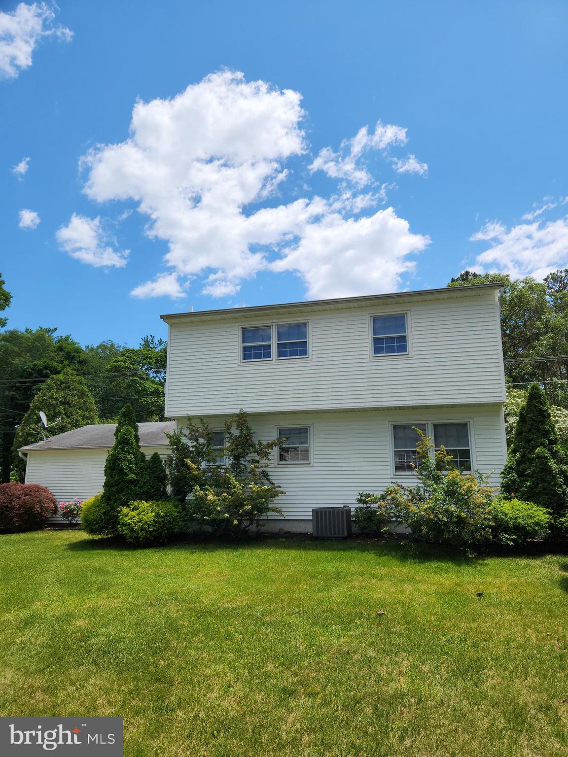 281 Center Street Little Egg Harbor, NJ 08087 - Photo 40 of 40 Landscape Recently Pruned & Reshaped