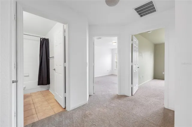 $2,250 | 7820 Bally Money Road, Tampa, FL 33610