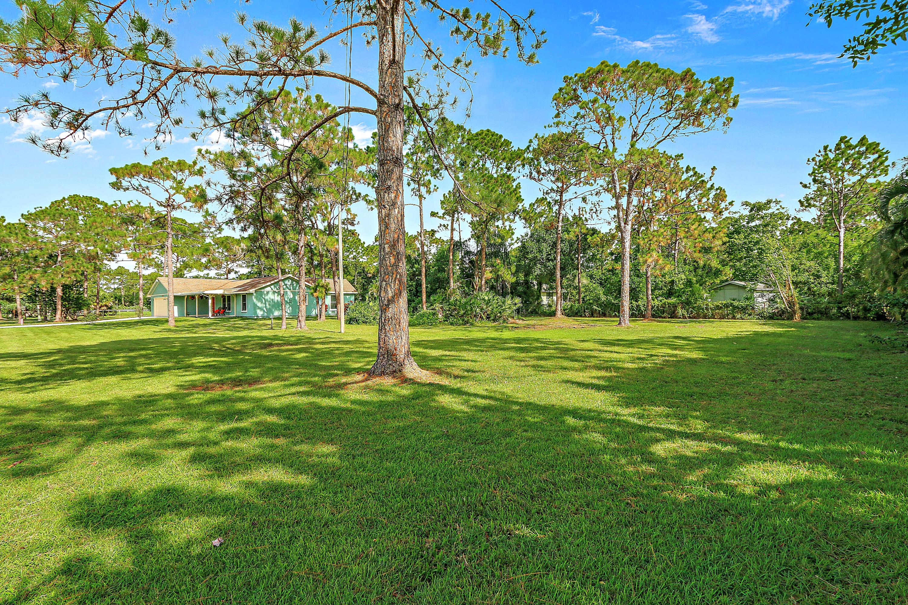 12499 Sandy Run Road Jupiter, FL 33478 - Photo 17 of 21 a view of a trees with a big yard
