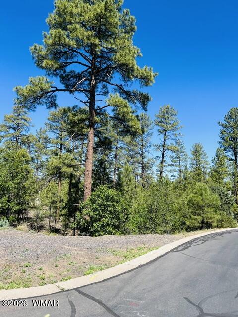 1900 Silver Tree Lane Show Low, AZ 85901 - Photo 1 of 4 a view of a yard with plants