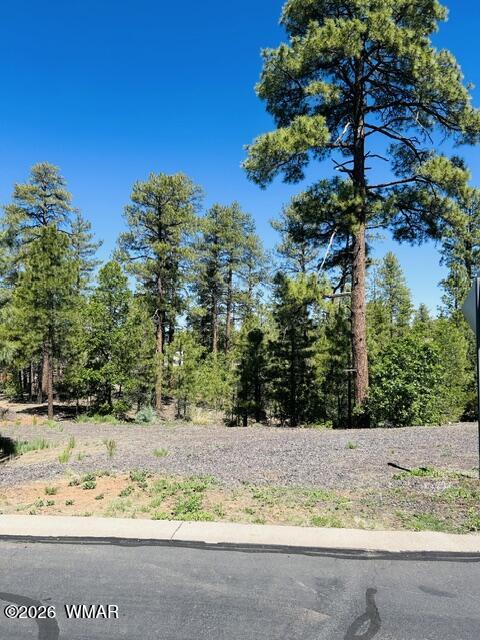 1900 Silver Tree Lane Show Low, AZ 85901 - Photo 2 of 4 a view of a yard and mountain