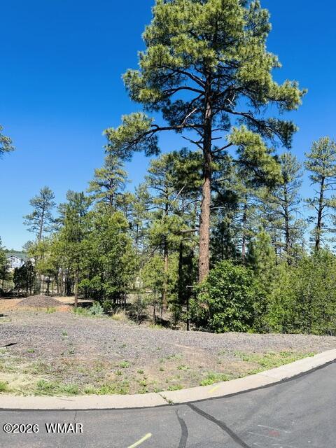 1900 Silver Tree Lane Show Low, AZ 85901 - Photo 4 of 4 a view of a yard with plants