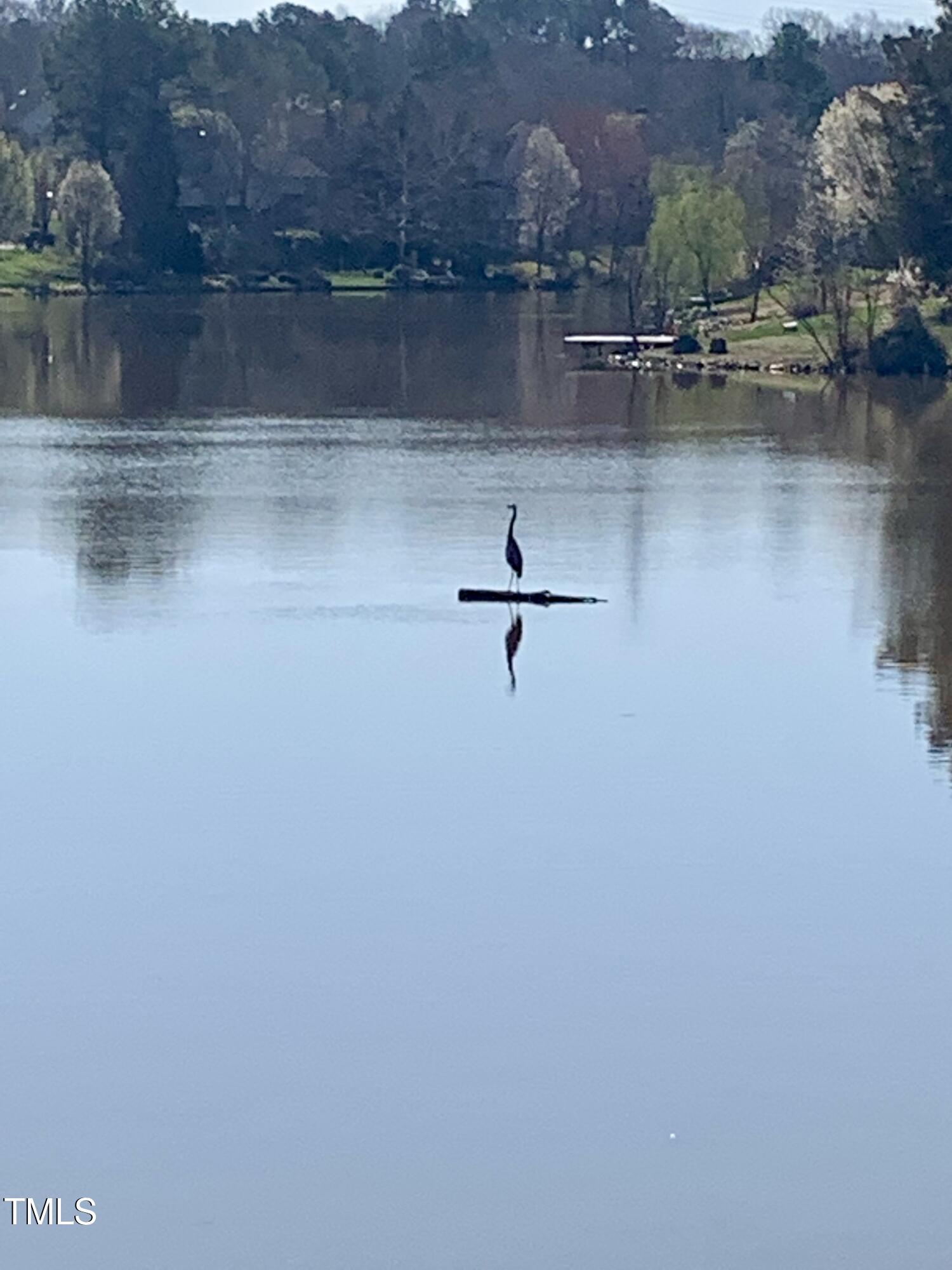 512 North Water's Edge Drive Durham, NC 27703 - Photo 43 of 55 IMG_3532