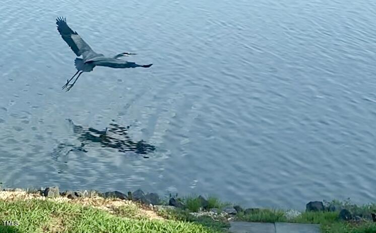 512 North Water's Edge Drive Durham, NC 27703 - Photo 44 of 55 IMG_3790